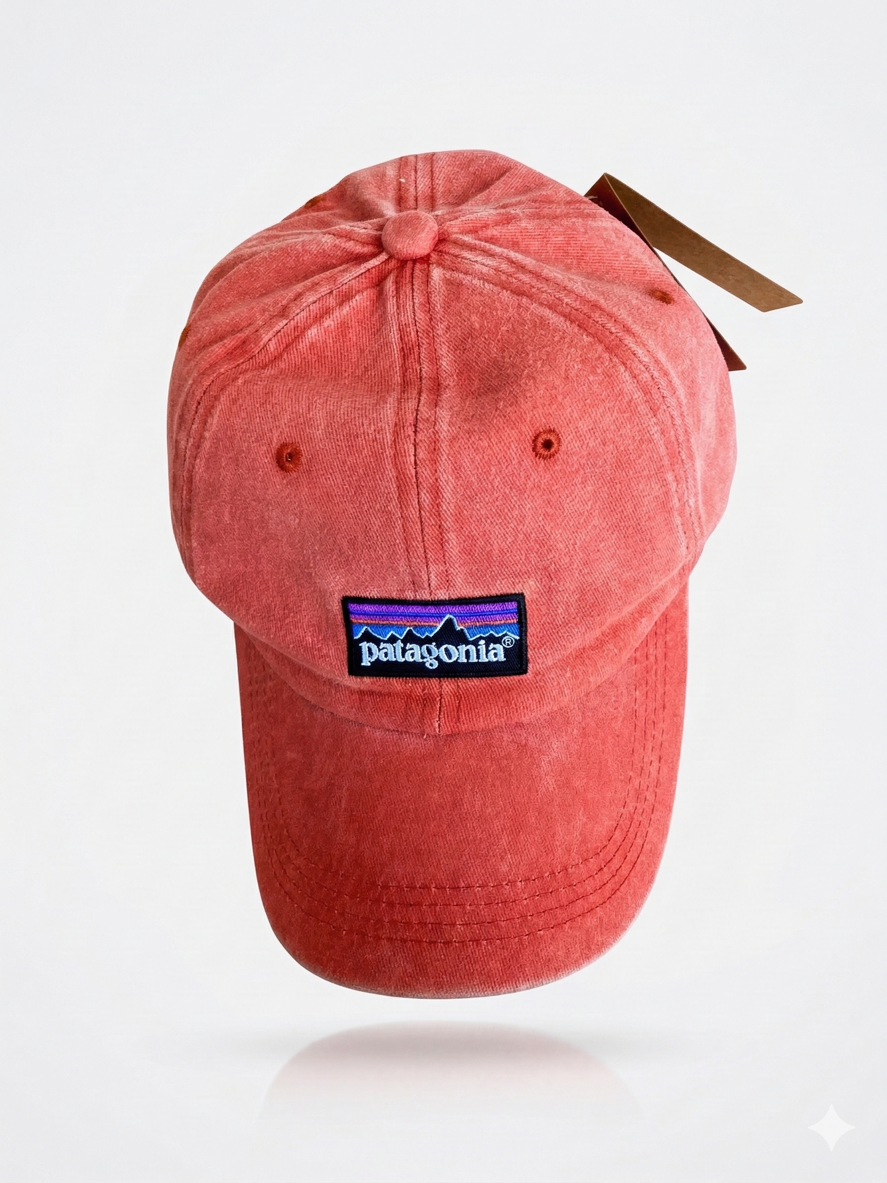 Patagonia Classic Mountain Logo Cap