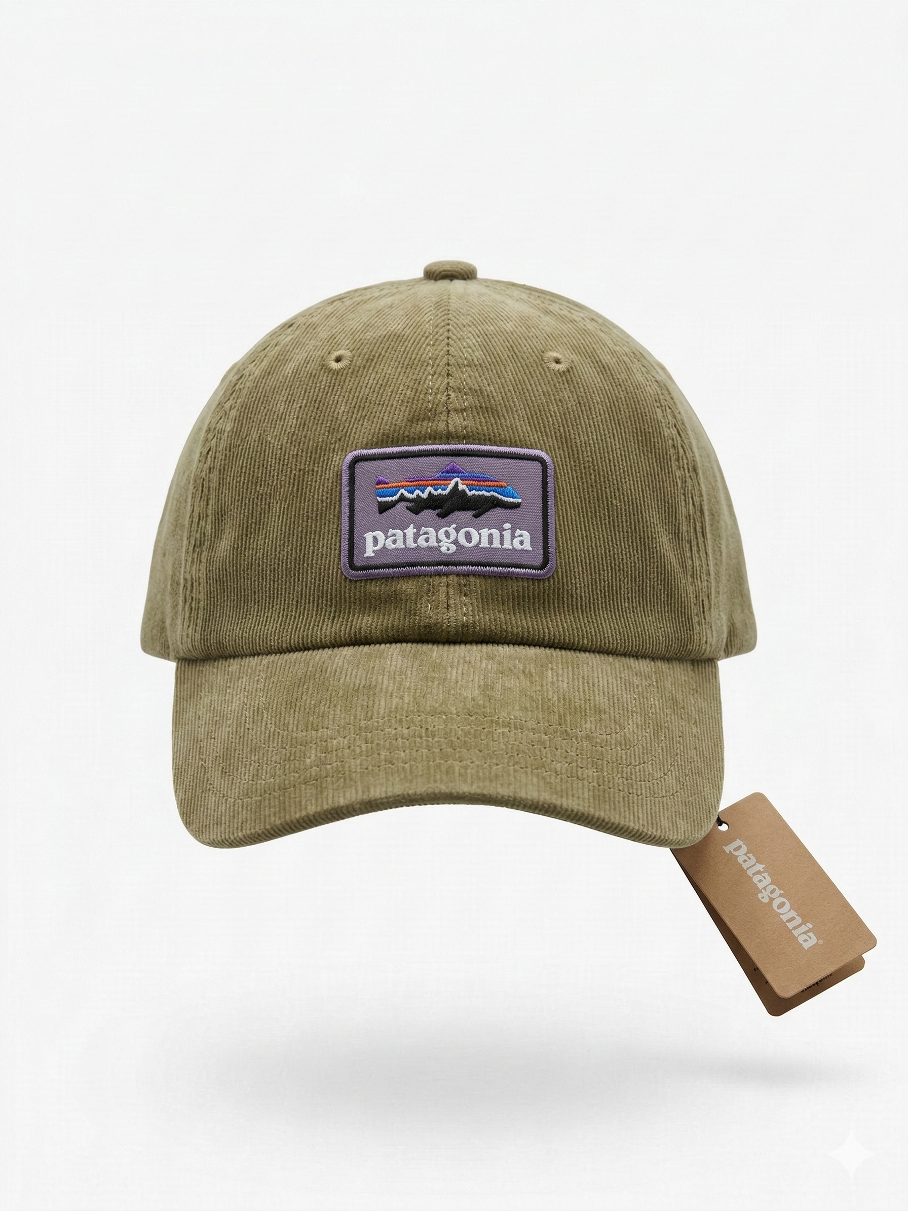 Patagonia Fitz Roy Trout Logo Trad Cap