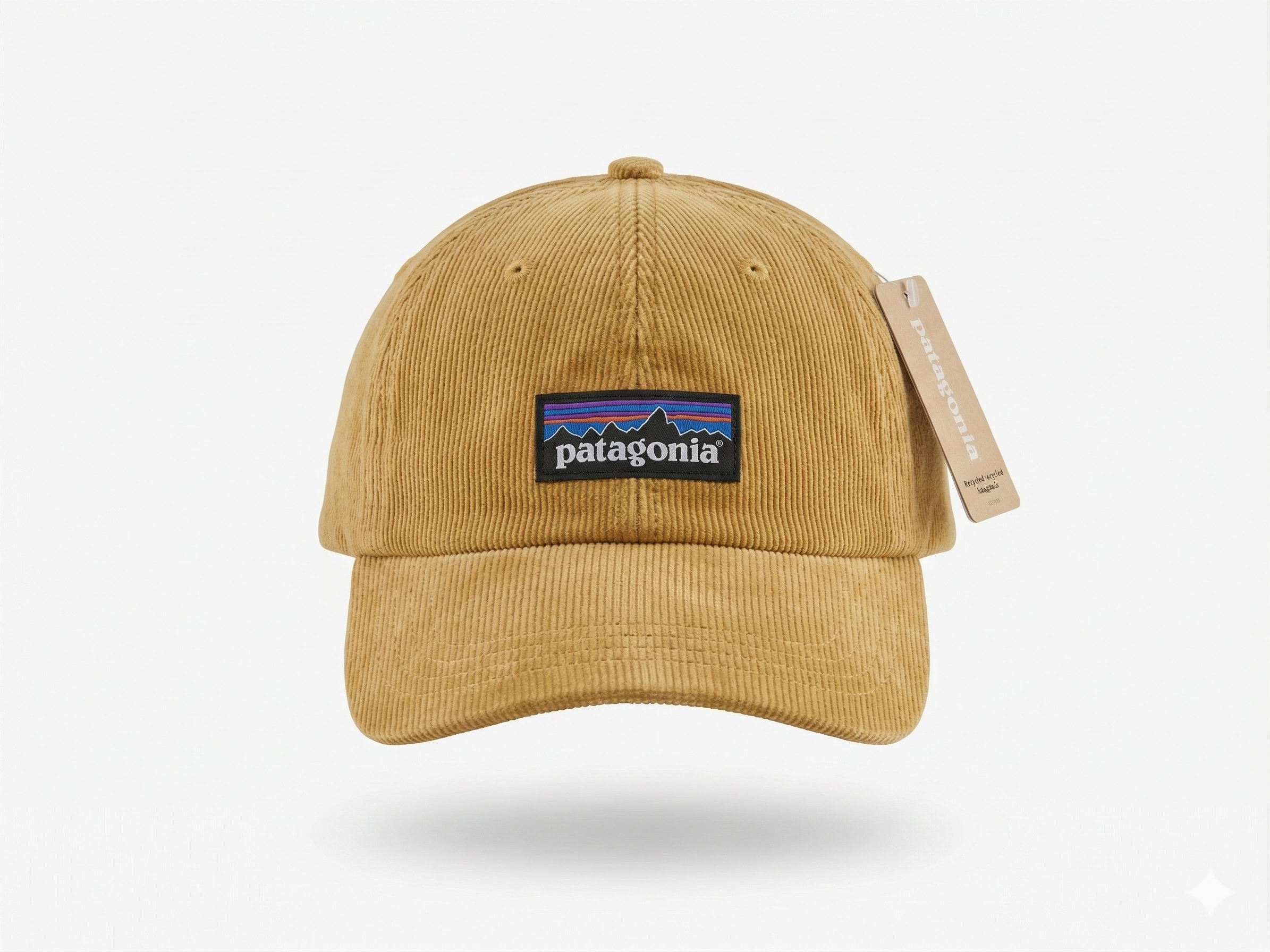 Patagonia Fitz Roy Trout Logo Trad Cap