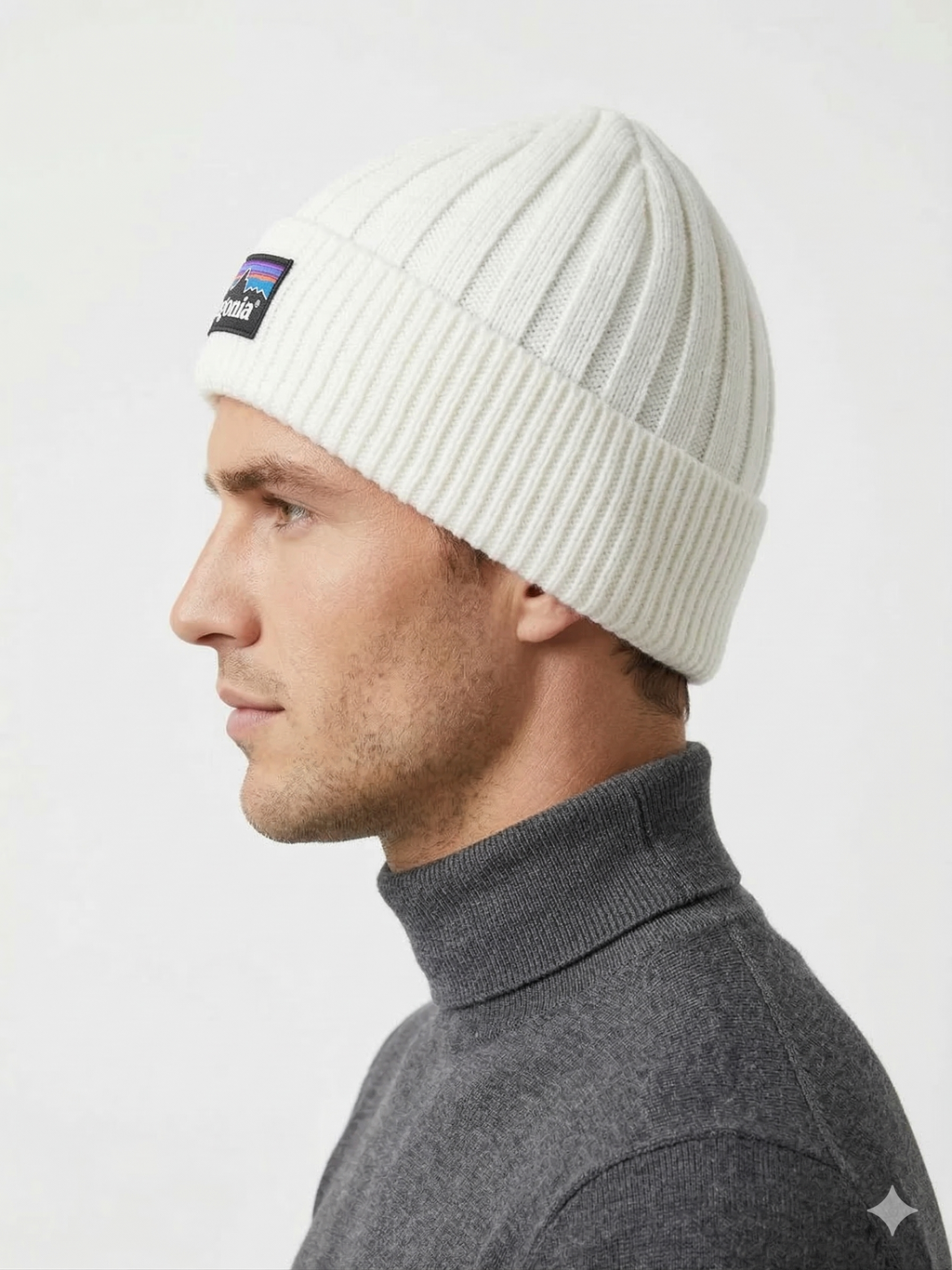 Patagonia P-6 Logo Chunky Knit Beanie