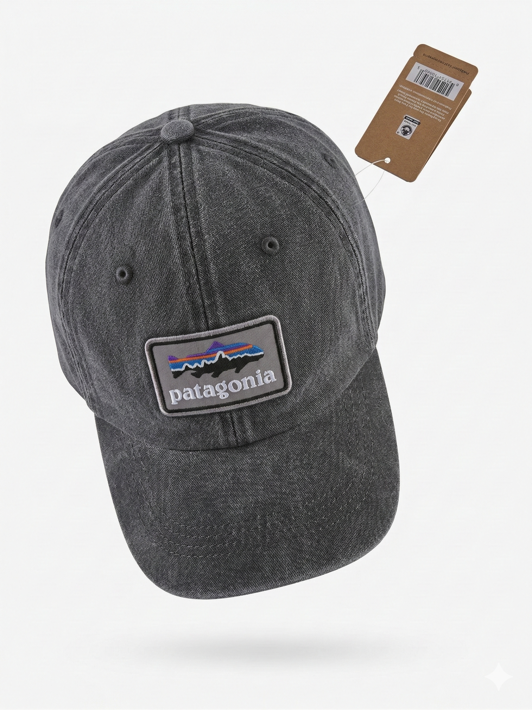 Patagonia Fitz Roy Trout Logo Trad Cap