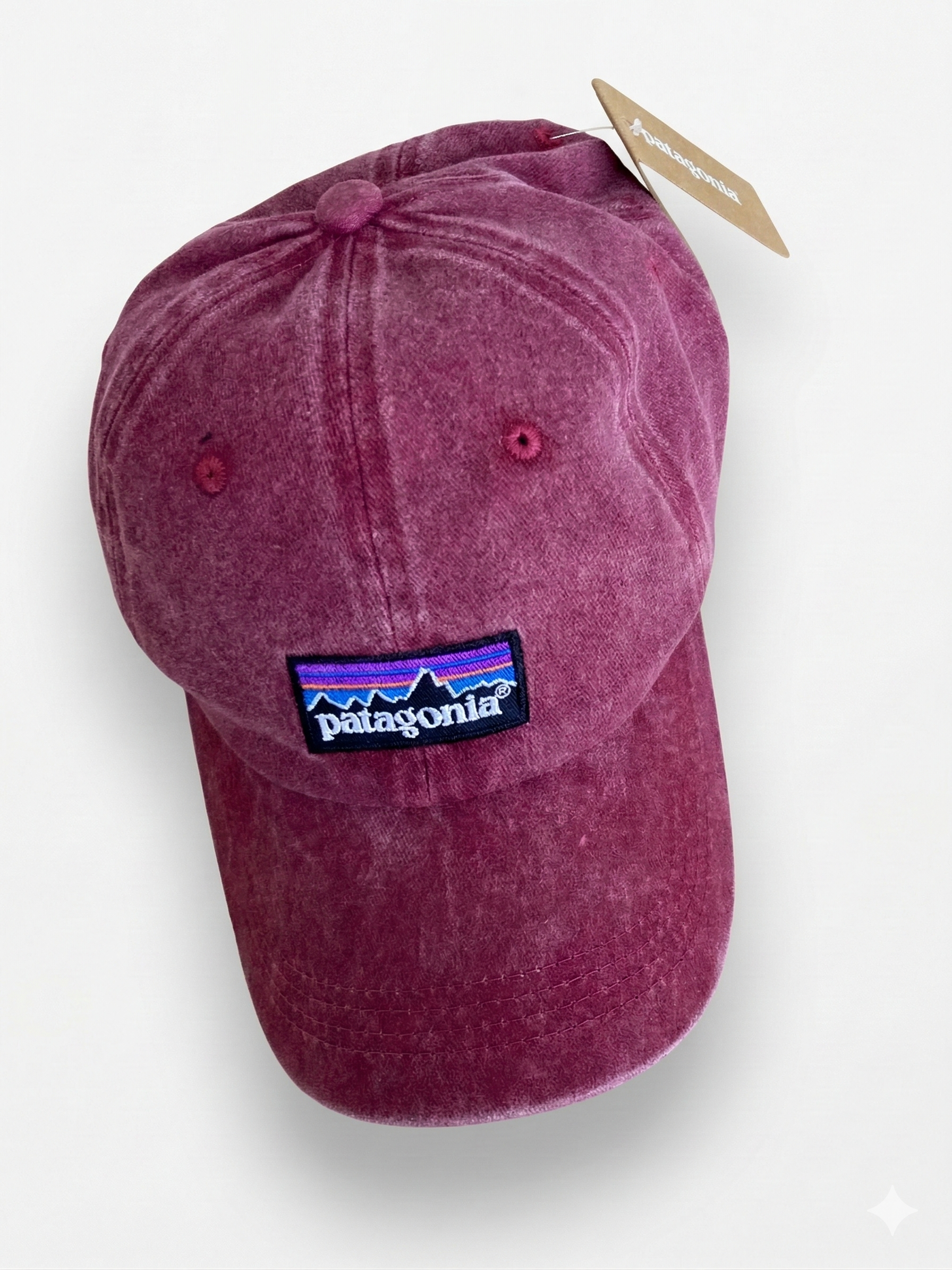 Patagonia Classic Mountain Logo Cap