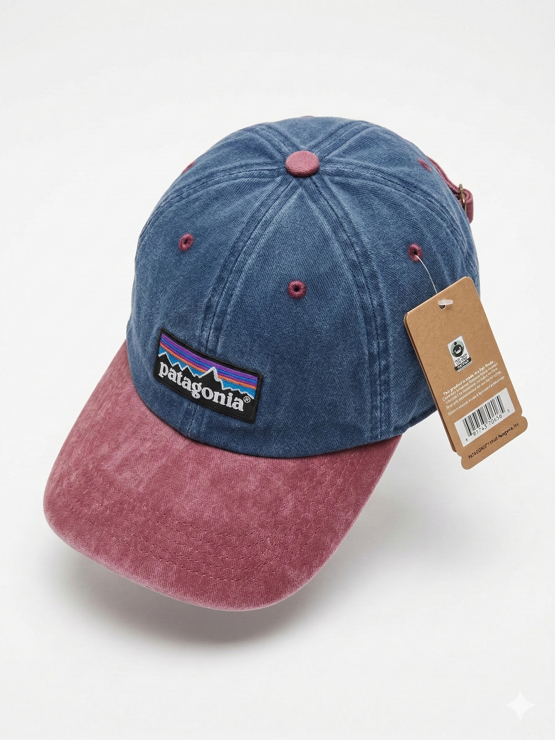 Patagonia Classic Mountain Logo Cap