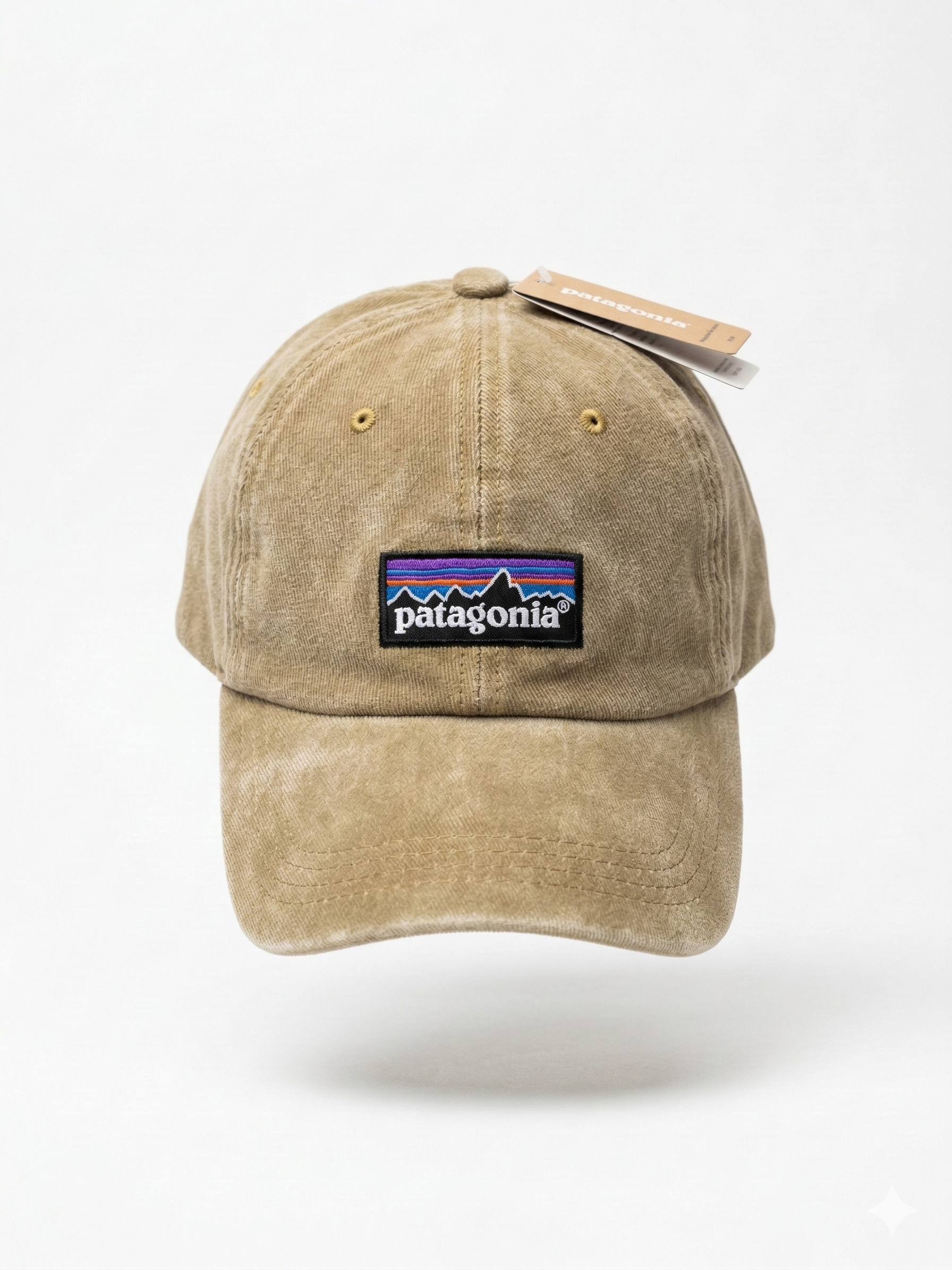 Patagonia Classic Mountain Logo Cap