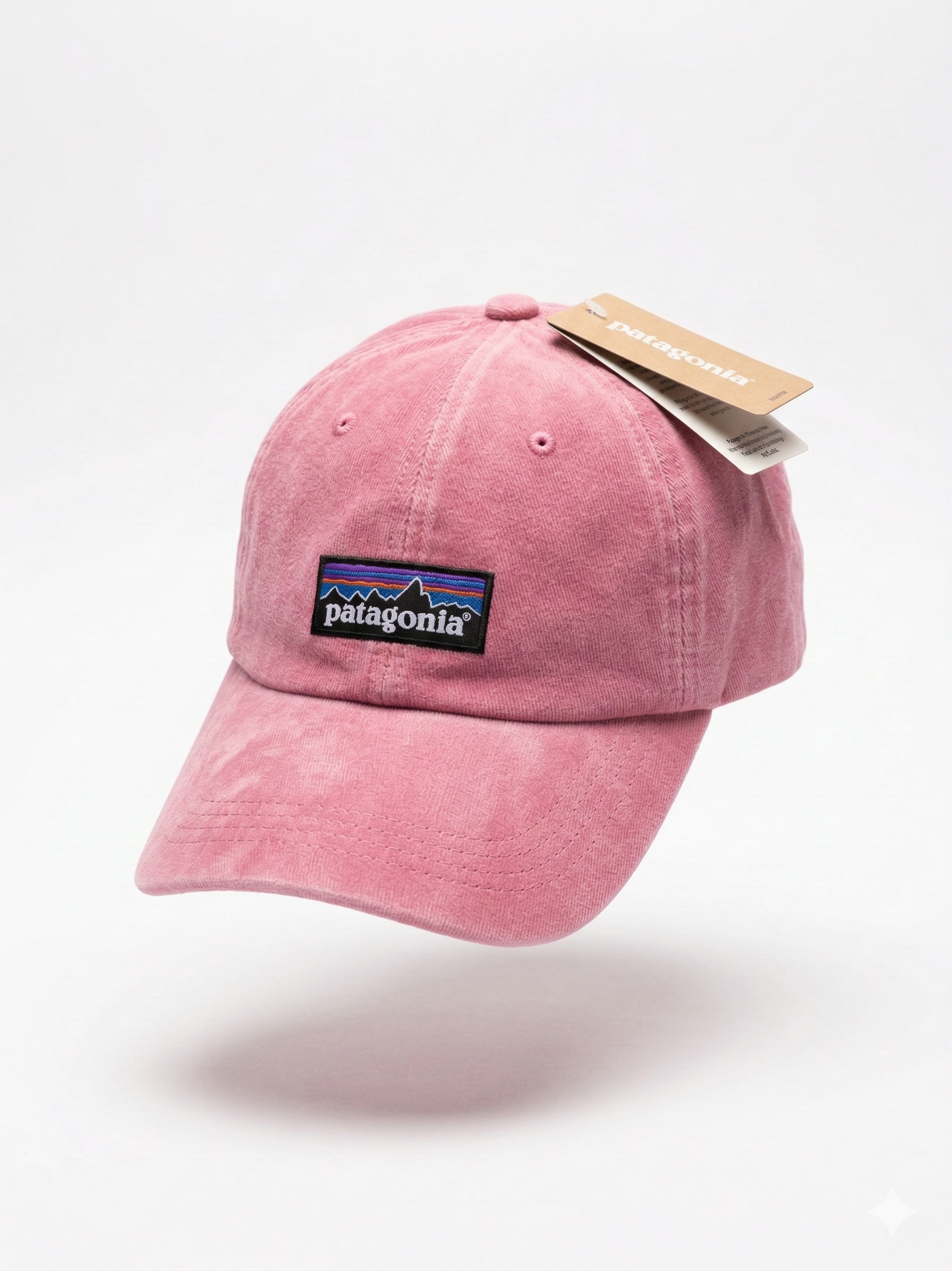 Patagonia Classic Mountain Logo Cap