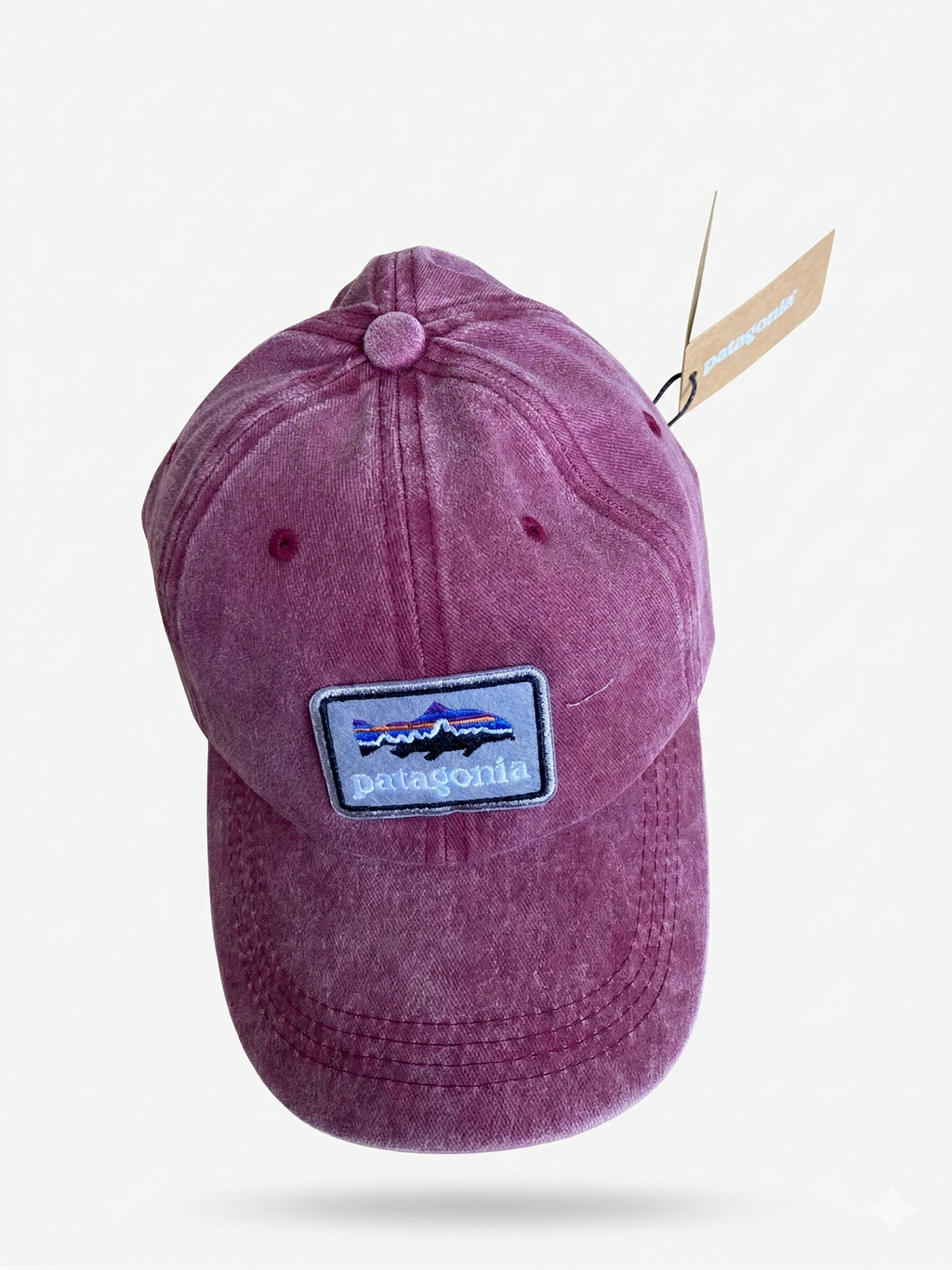 Patagonia Fitz Roy Trout Logo Trad Cap