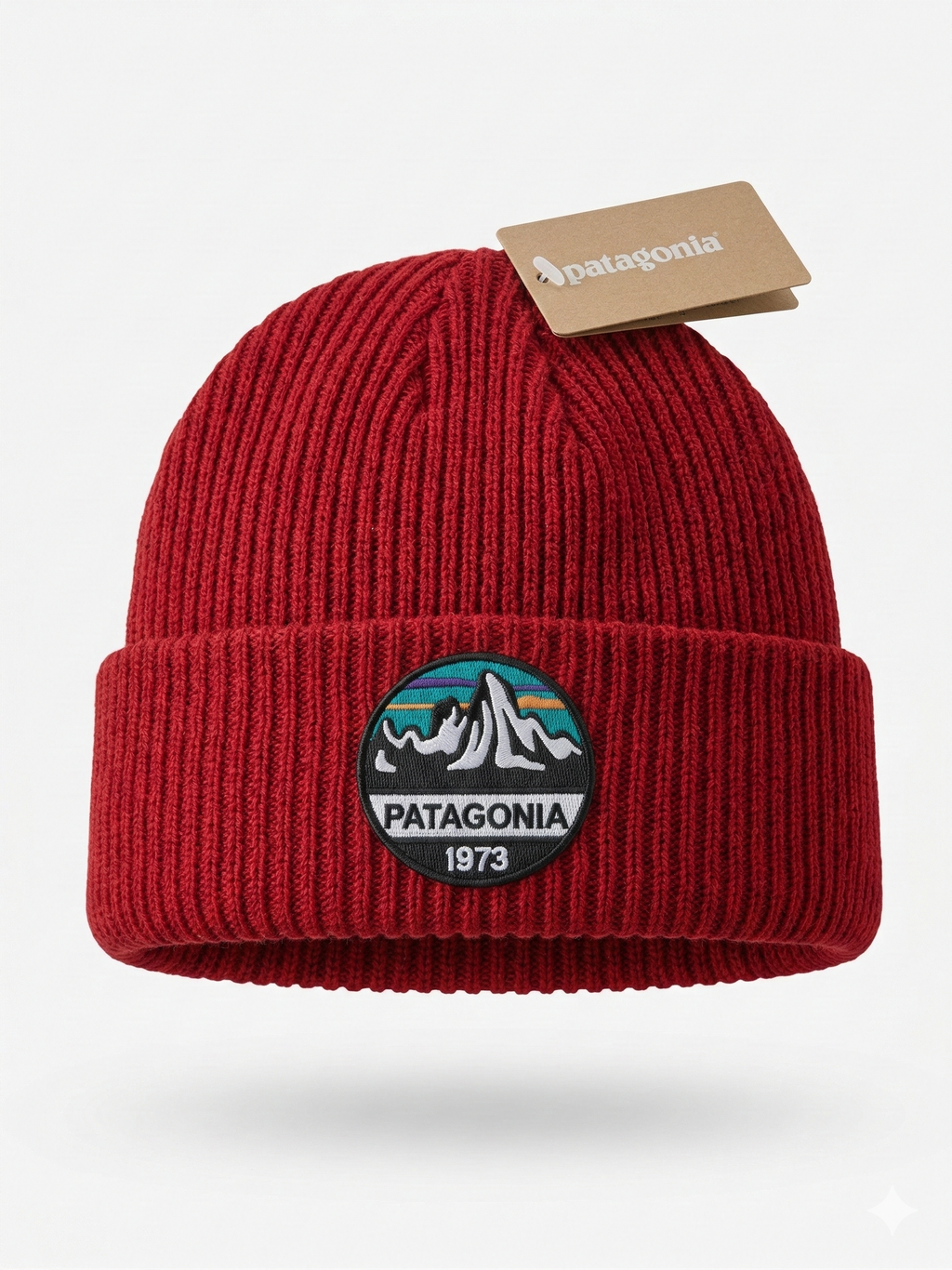 Patagonia The 1973 Anniversary Retro Logo Beanie