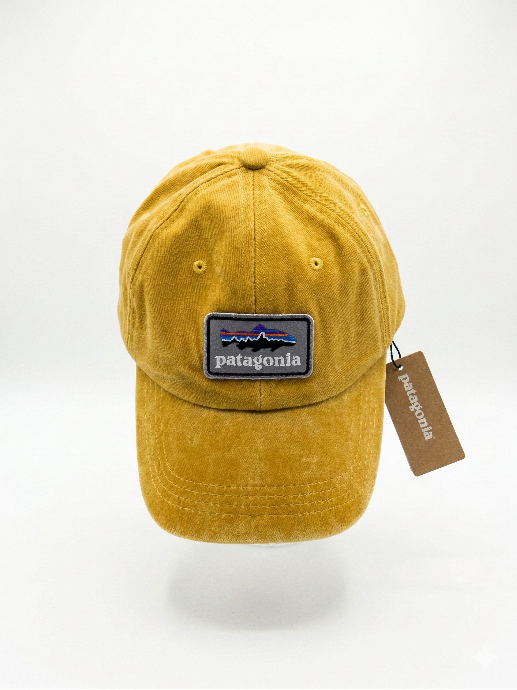 Patagonia Fitz Roy Trout Logo Trad Cap