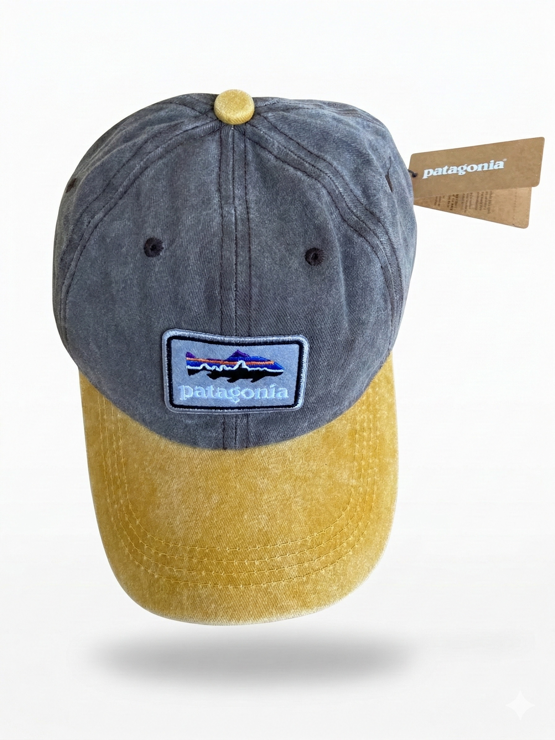 Patagonia Fitz Roy Trout Logo Trad Cap