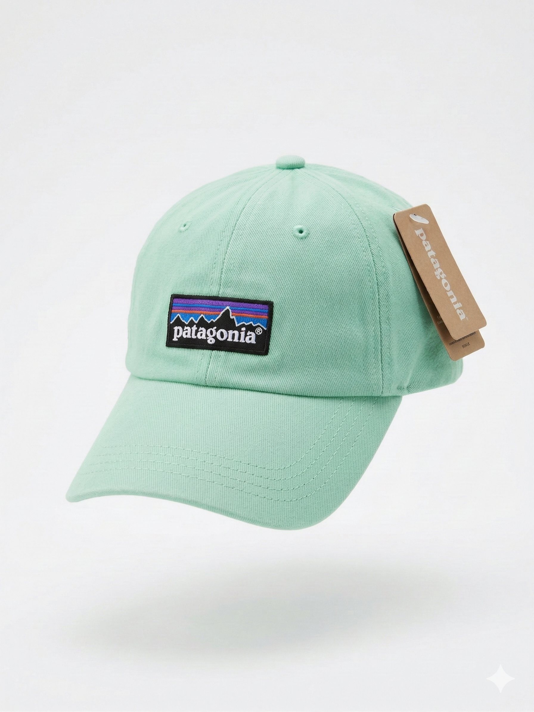 Patagonia Classic Mountain Logo Cap