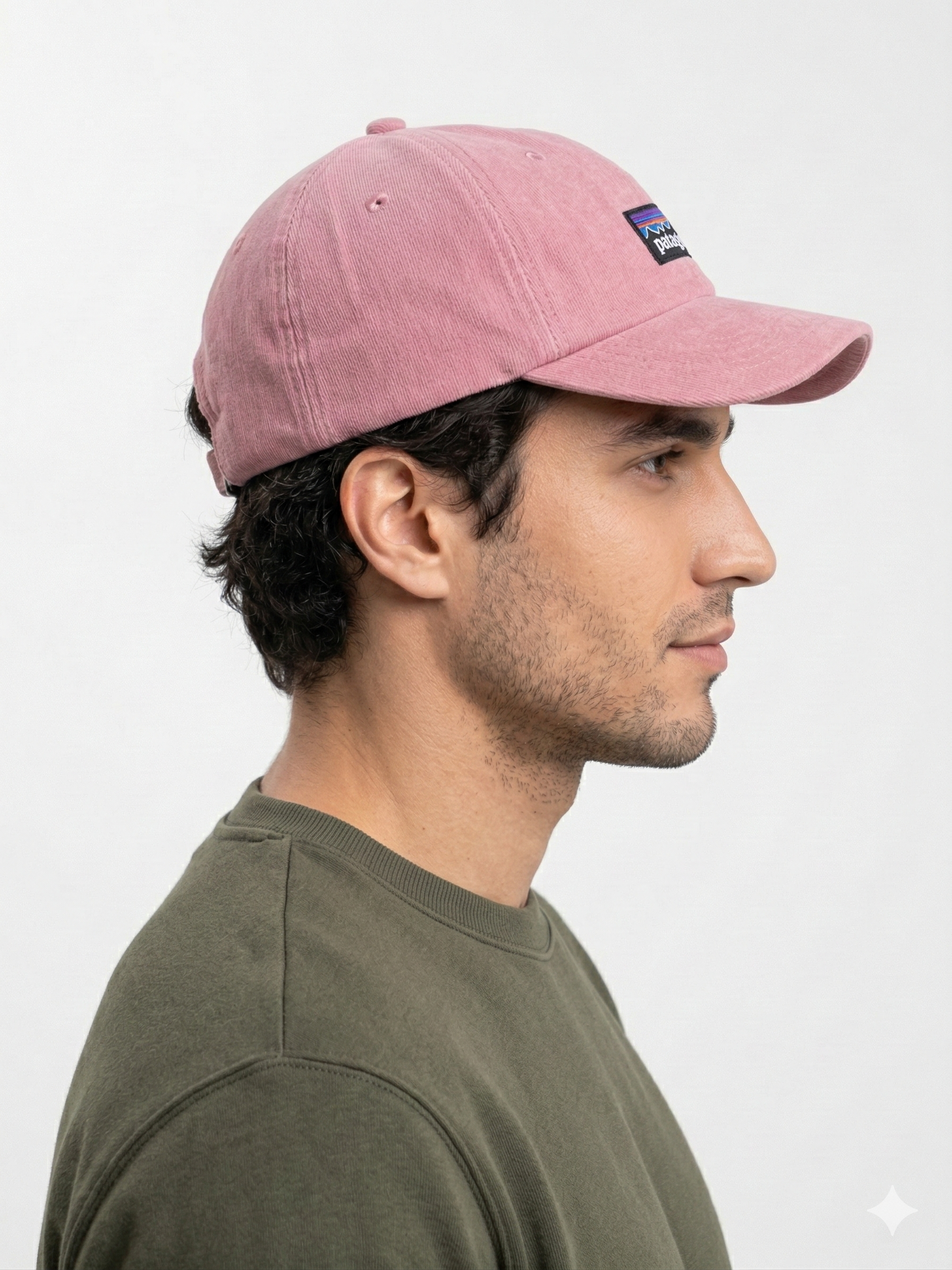 Patagonia Classic Mountain Logo Cap
