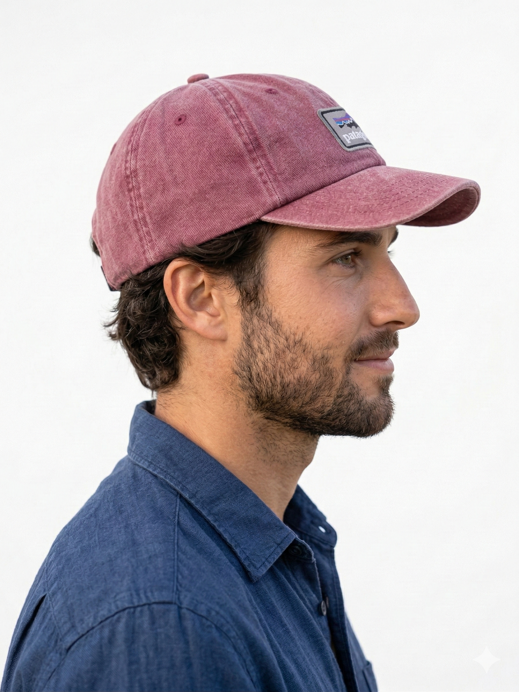 Patagonia Fitz Roy Trout Logo Trad Cap