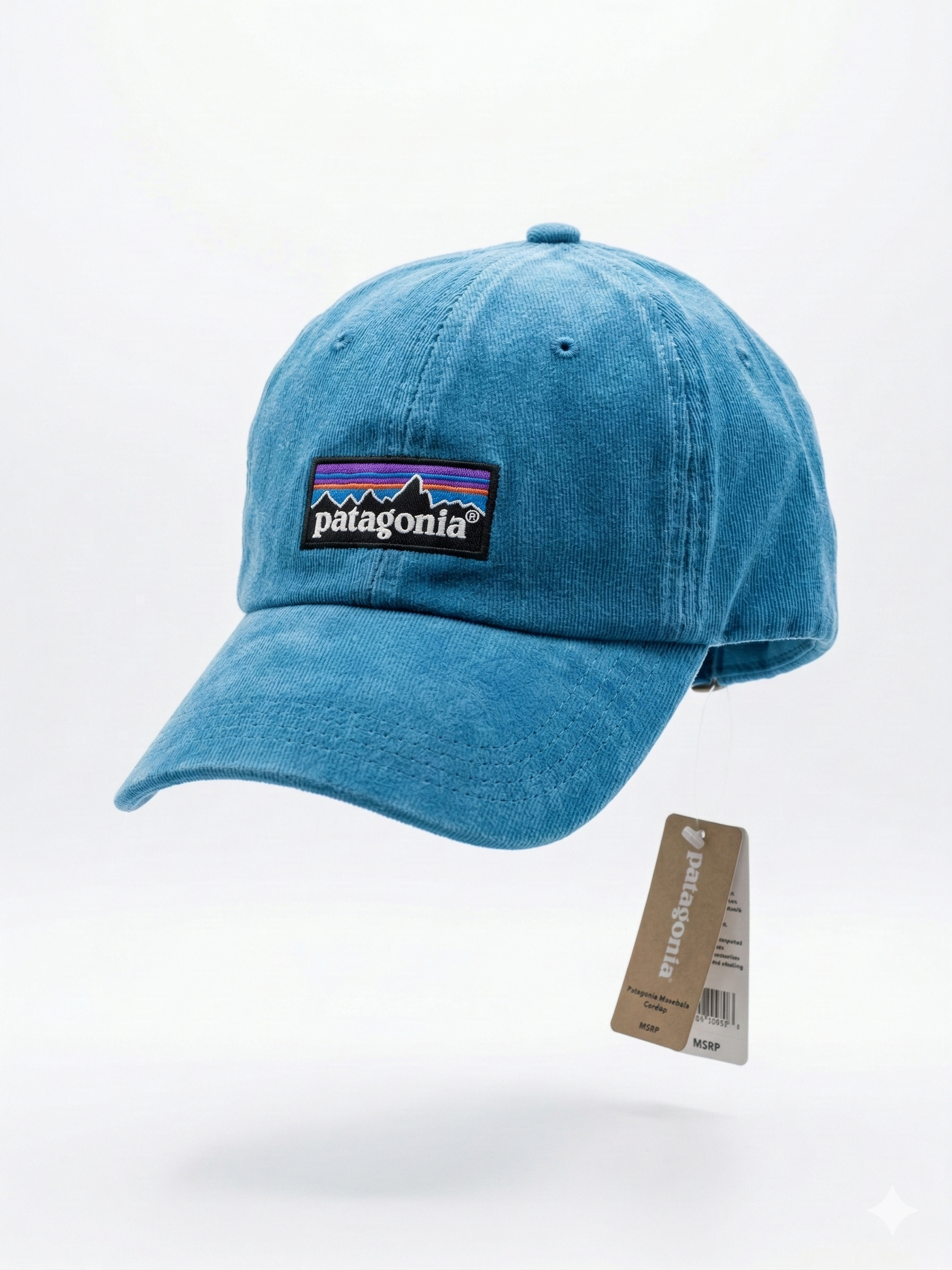 Patagonia Classic Mountain Logo Cap