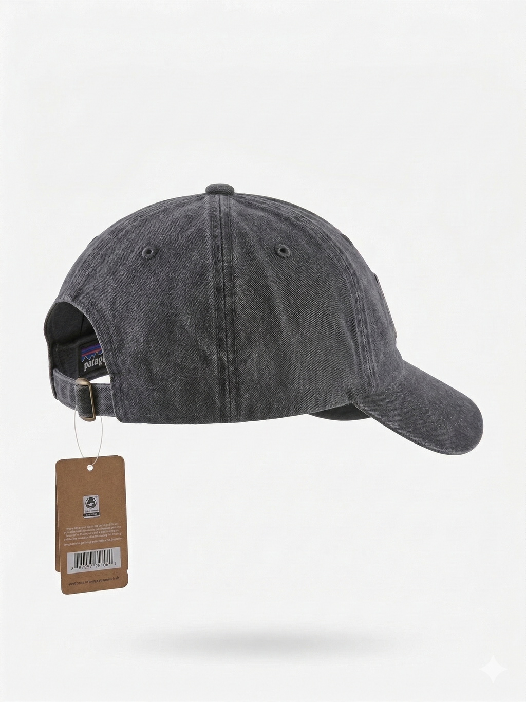 Patagonia Fitz Roy Trout Logo Trad Cap