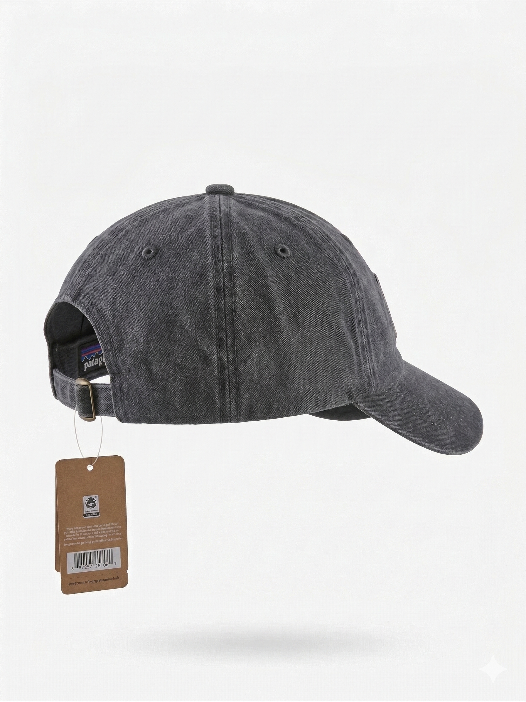 Patagonia Fitz Roy Trout Logo Trad Cap