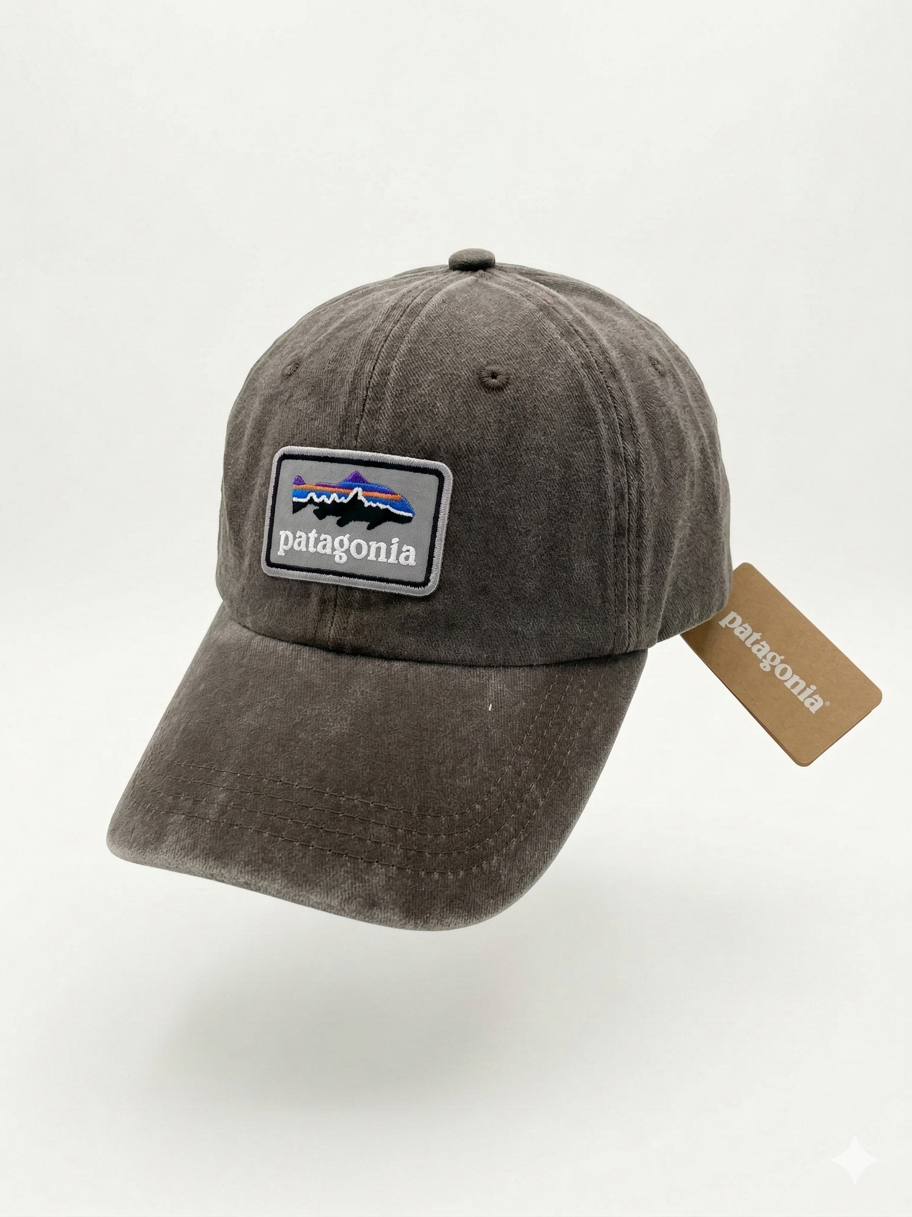 Patagonia Fitz Roy Trout Logo Trad Cap