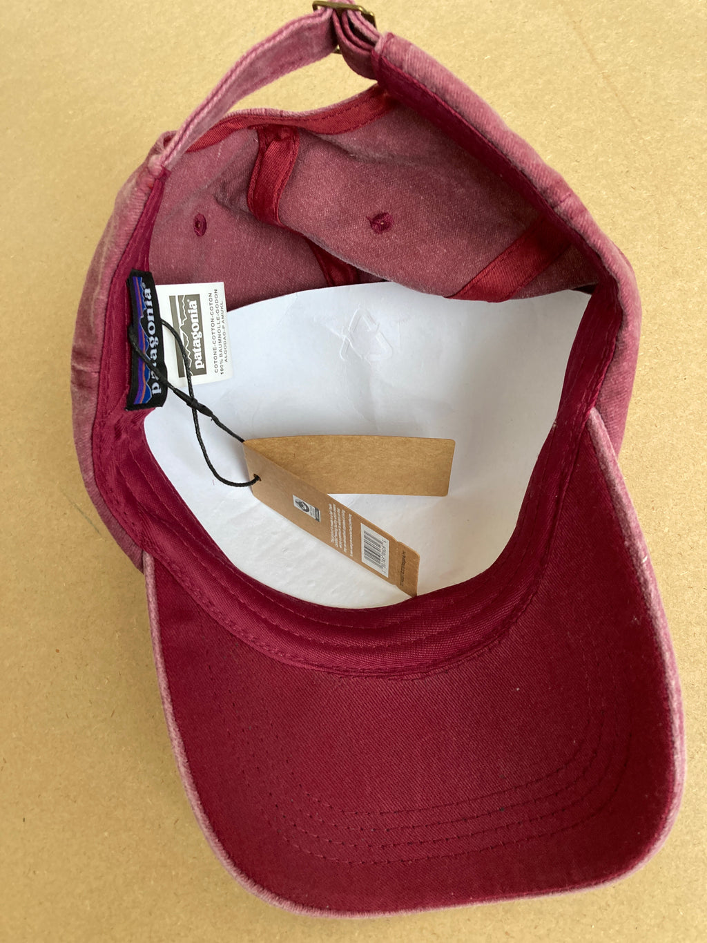 Patagonia Fitz Roy Trout Logo Trad Cap