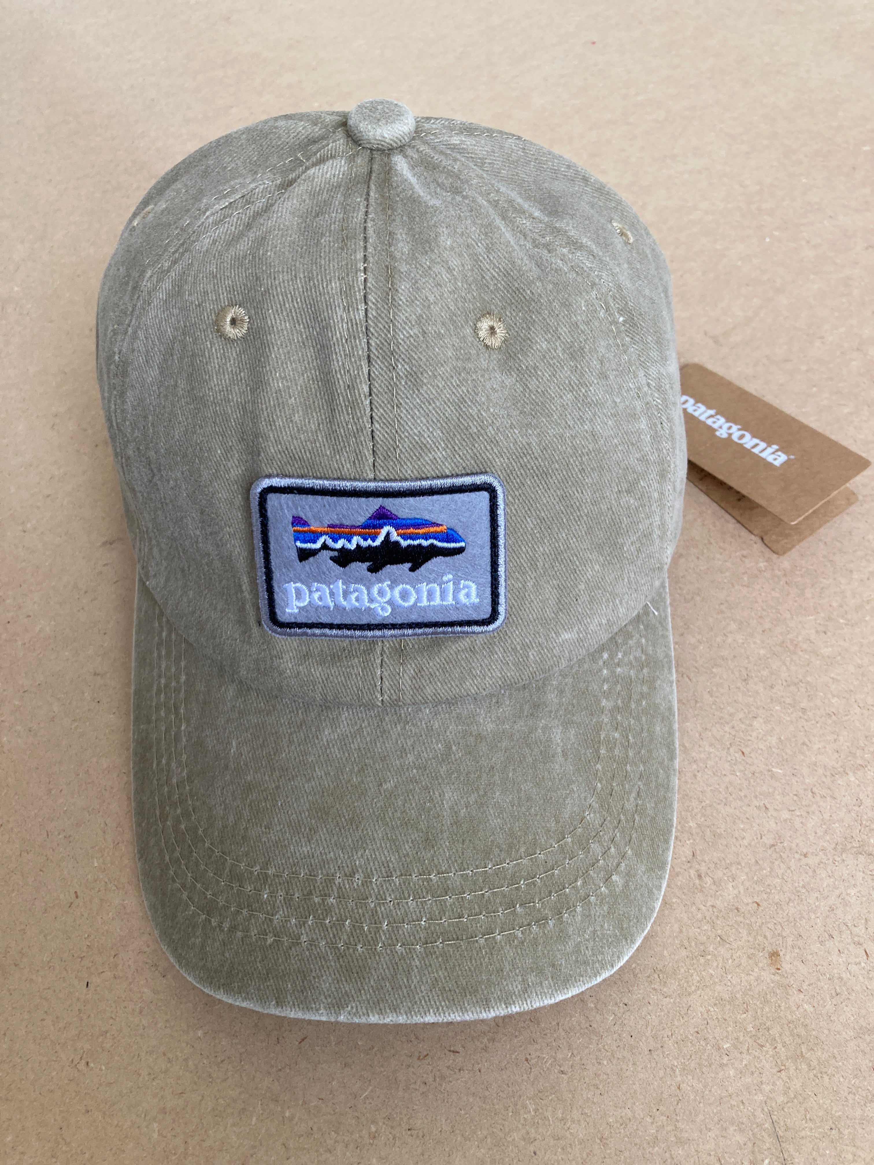 Patagonia Fitz Roy Trout Logo Trad Cap