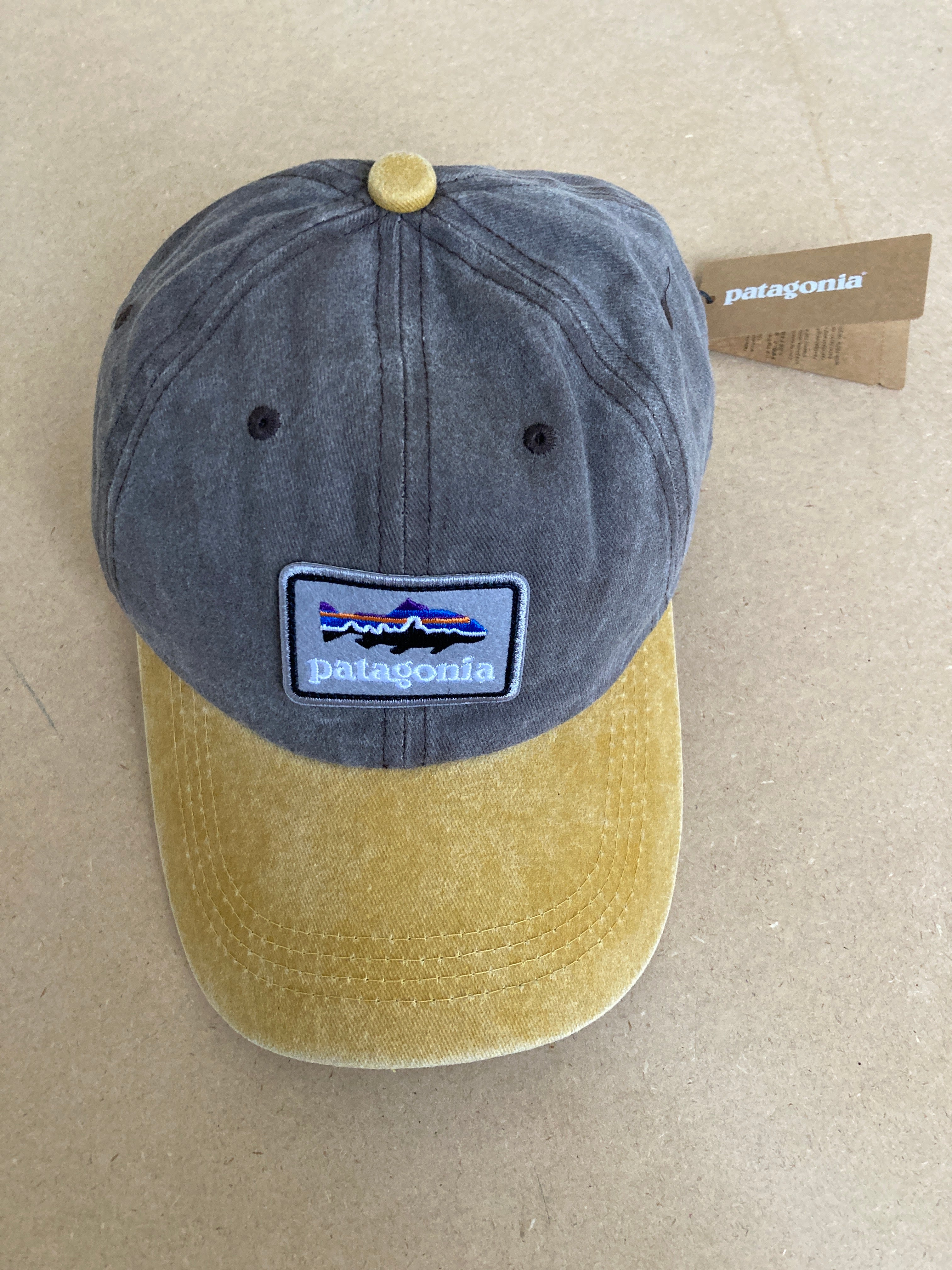 Patagonia Fitz Roy Trout Logo Trad Cap