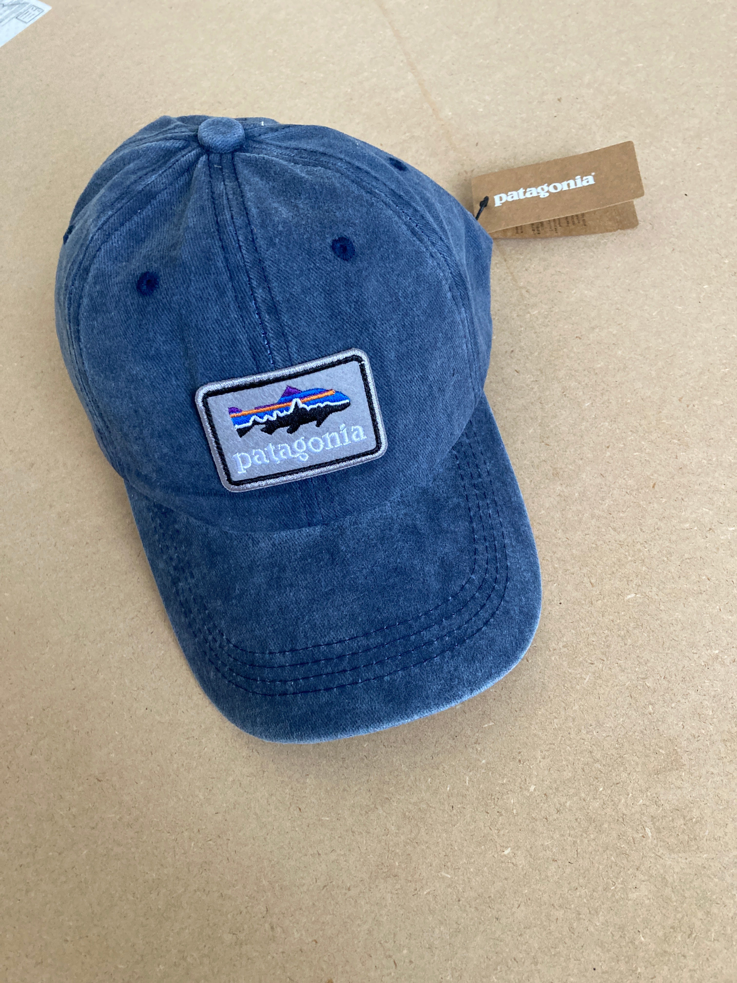 Patagonia Fitz Roy Trout Logo Trad Cap