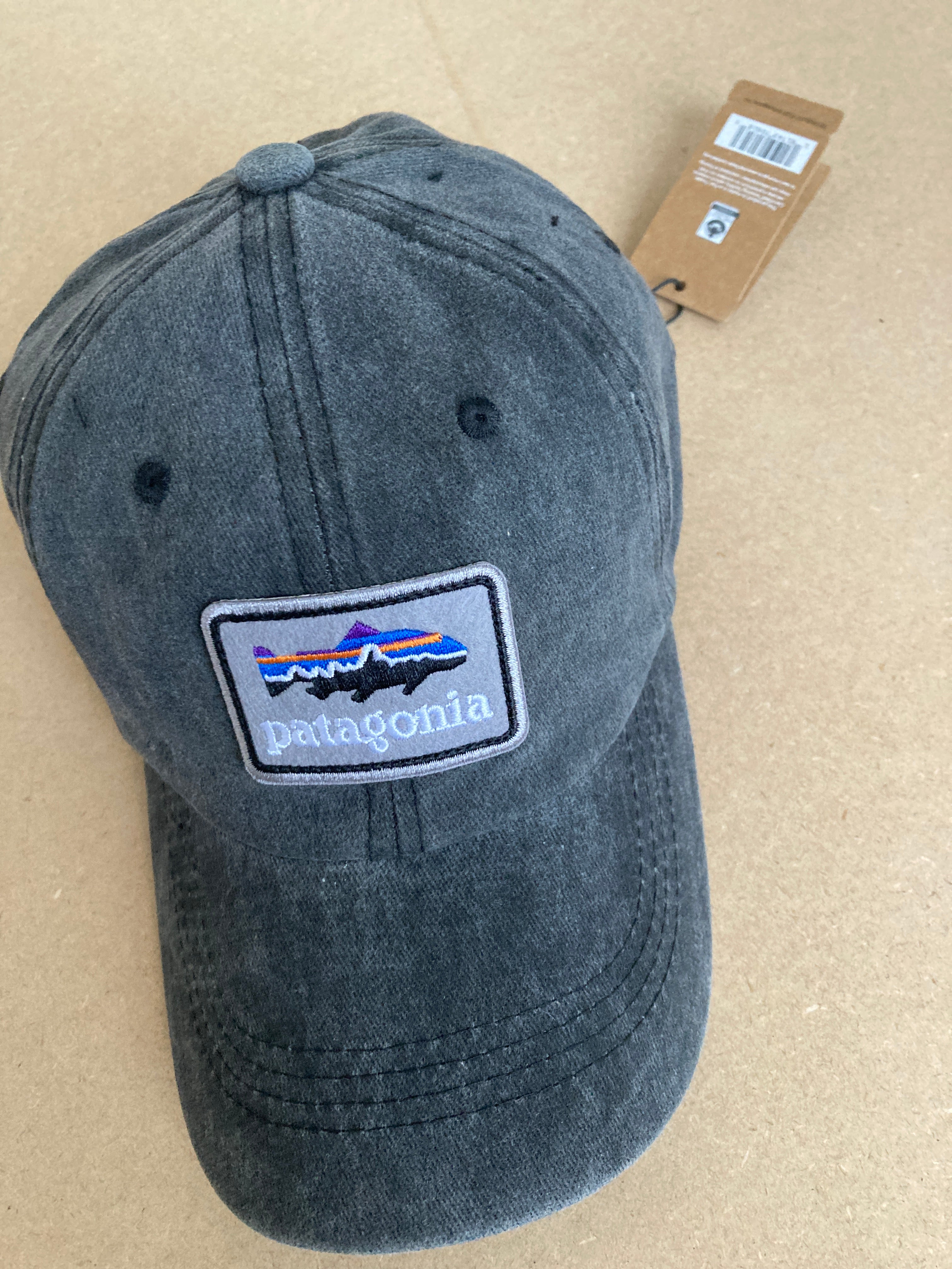 Patagonia Fitz Roy Trout Logo Trad Cap