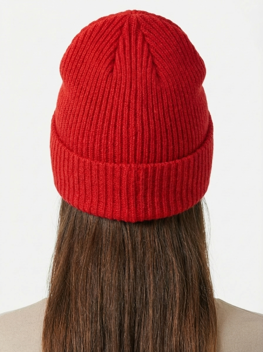 Patagonia Fishermen's Rolled Beanie Fitz Roy Trout