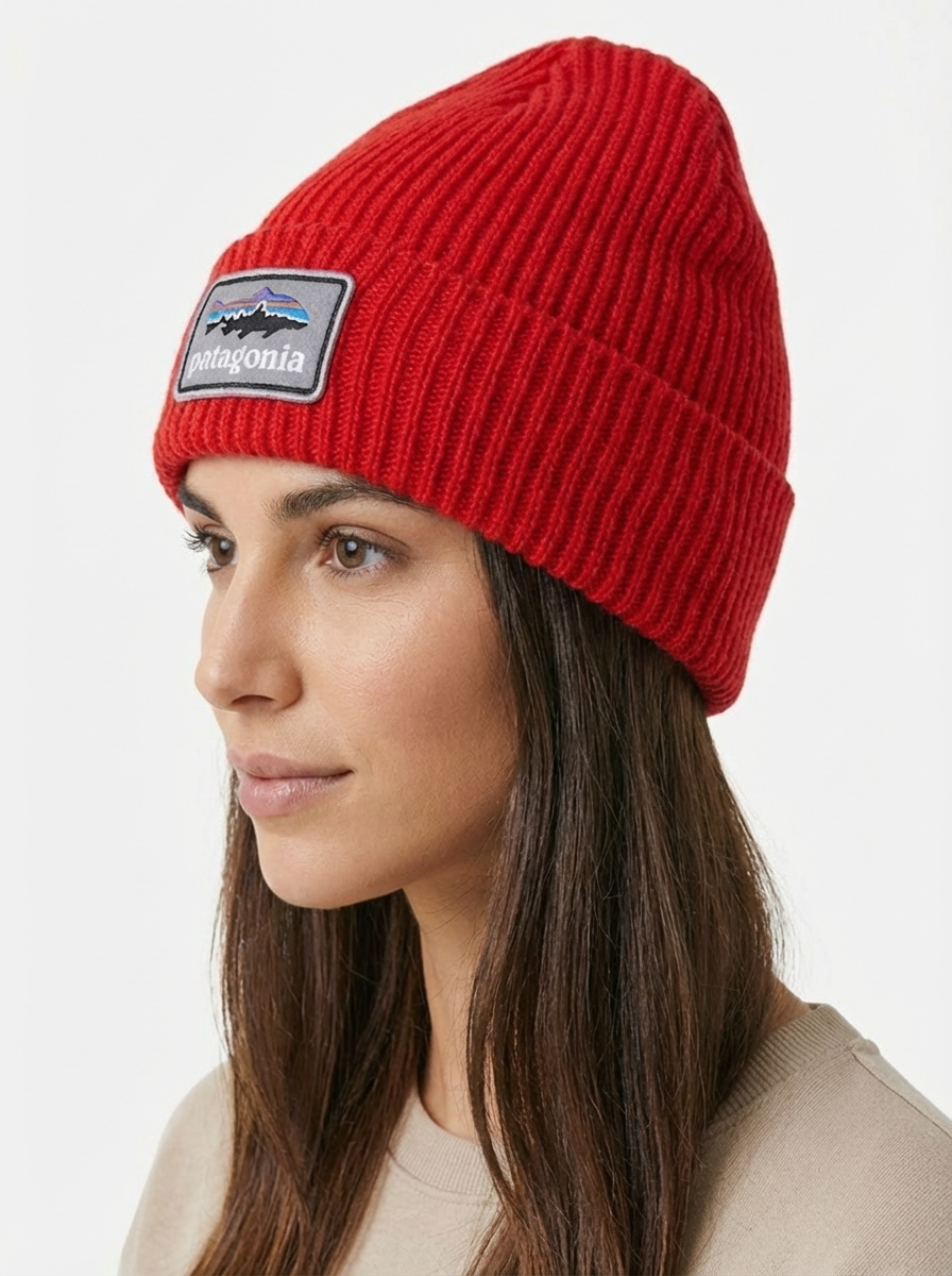 Patagonia Fishermen's Rolled Beanie Fitz Roy Trout