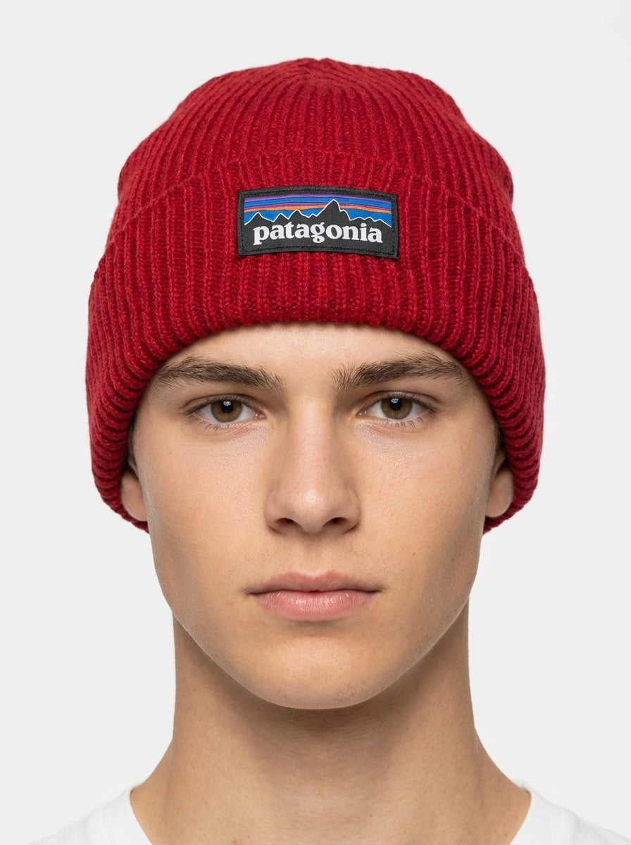 Patagonia Fishermen's Rolled Beanie Fitz Roy Trout