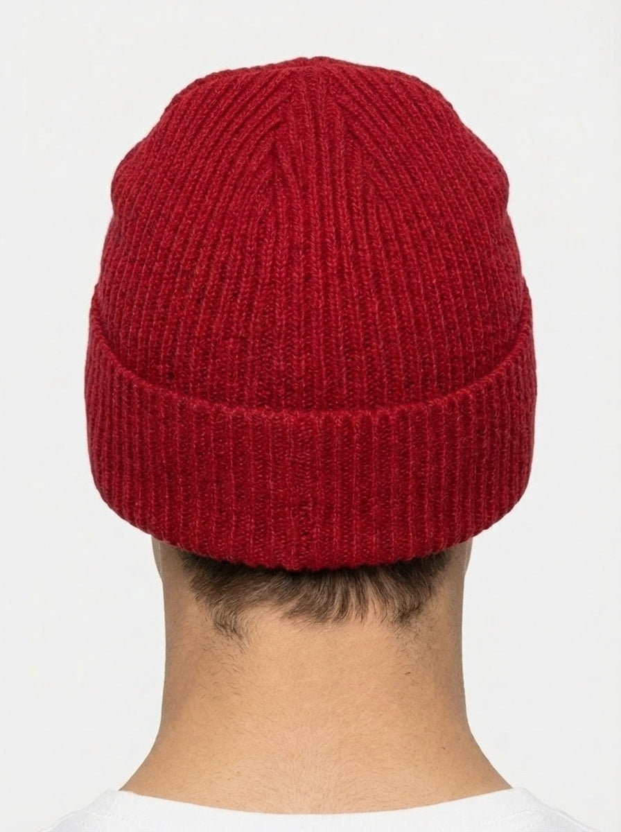 Patagonia Fishermen's Rolled Beanie Fitz Roy Trout