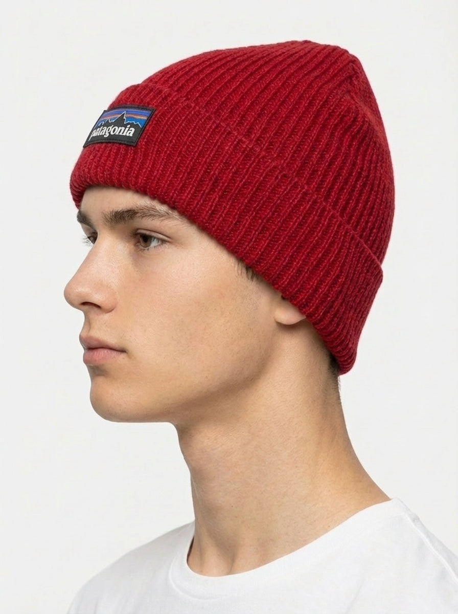 Patagonia Fishermen's Rolled Beanie Fitz Roy Trout