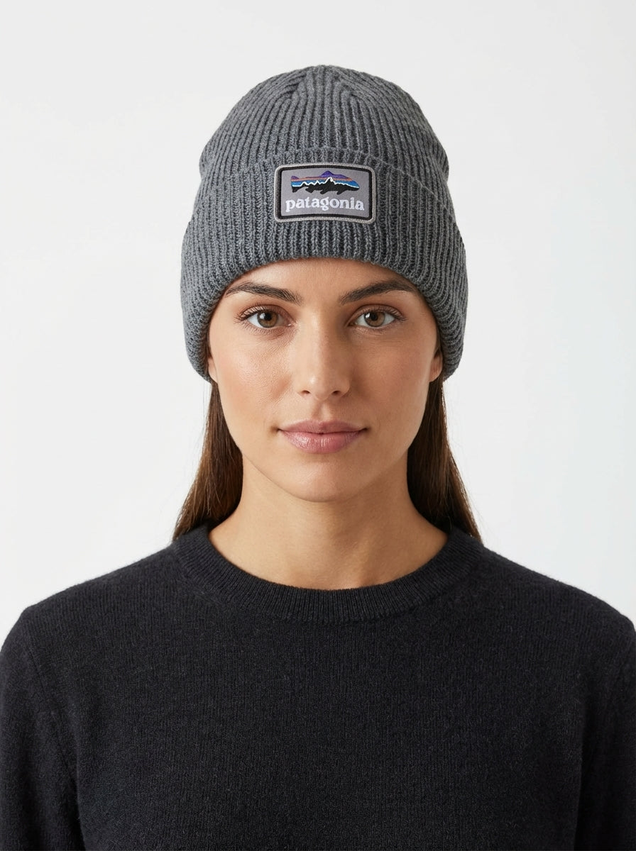 Patagonia Fishermen's Rolled Beanie Fitz Roy Trout