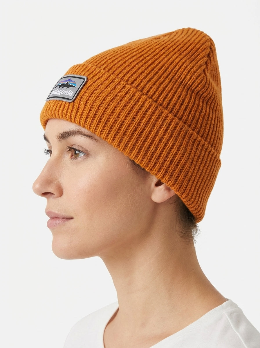 Patagonia Fishermen's Rolled Beanie Fitz Roy Trout