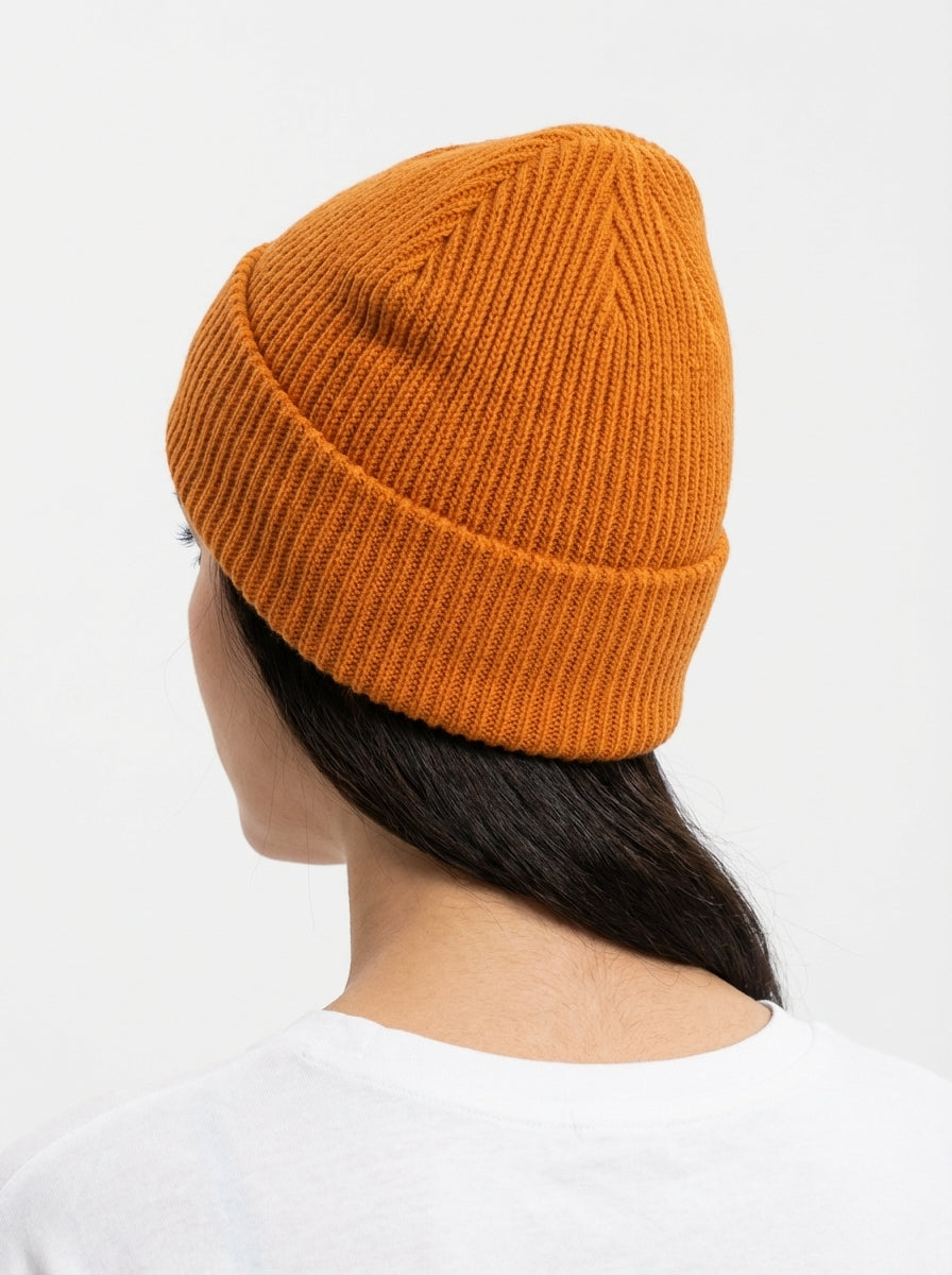 Patagonia Fishermen's Rolled Beanie Fitz Roy Trout