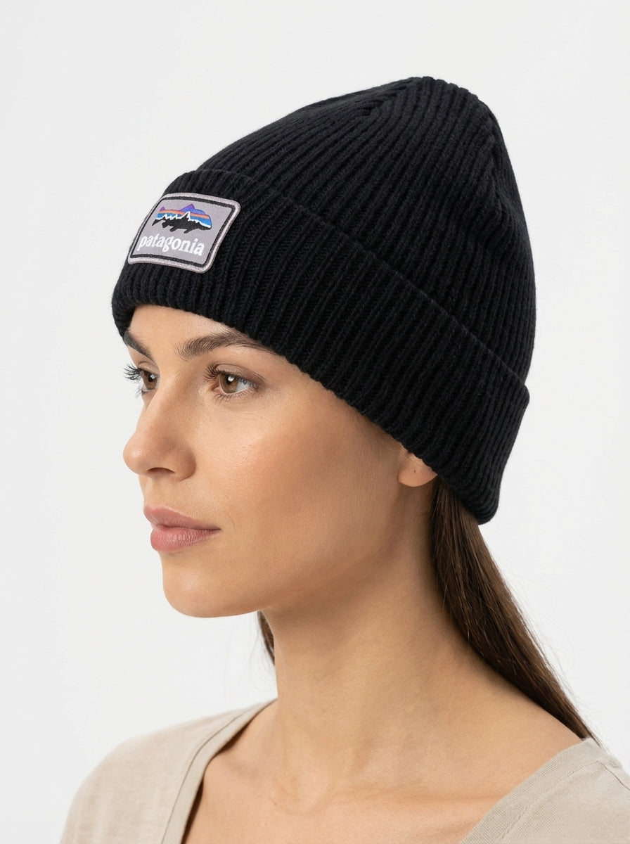 Patagonia Fishermen's Rolled Beanie Fitz Roy Trout