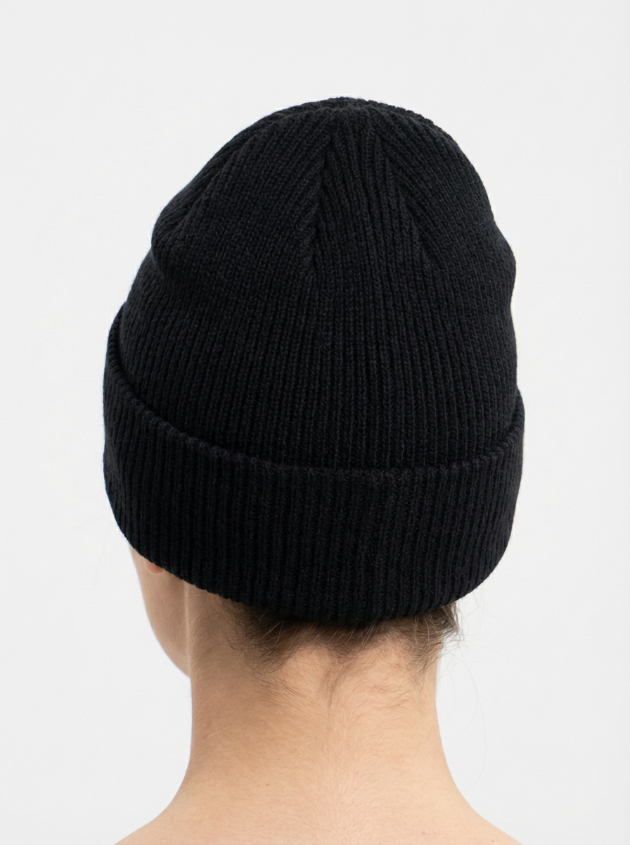 Patagonia Fishermen's Rolled Beanie Fitz Roy Trout