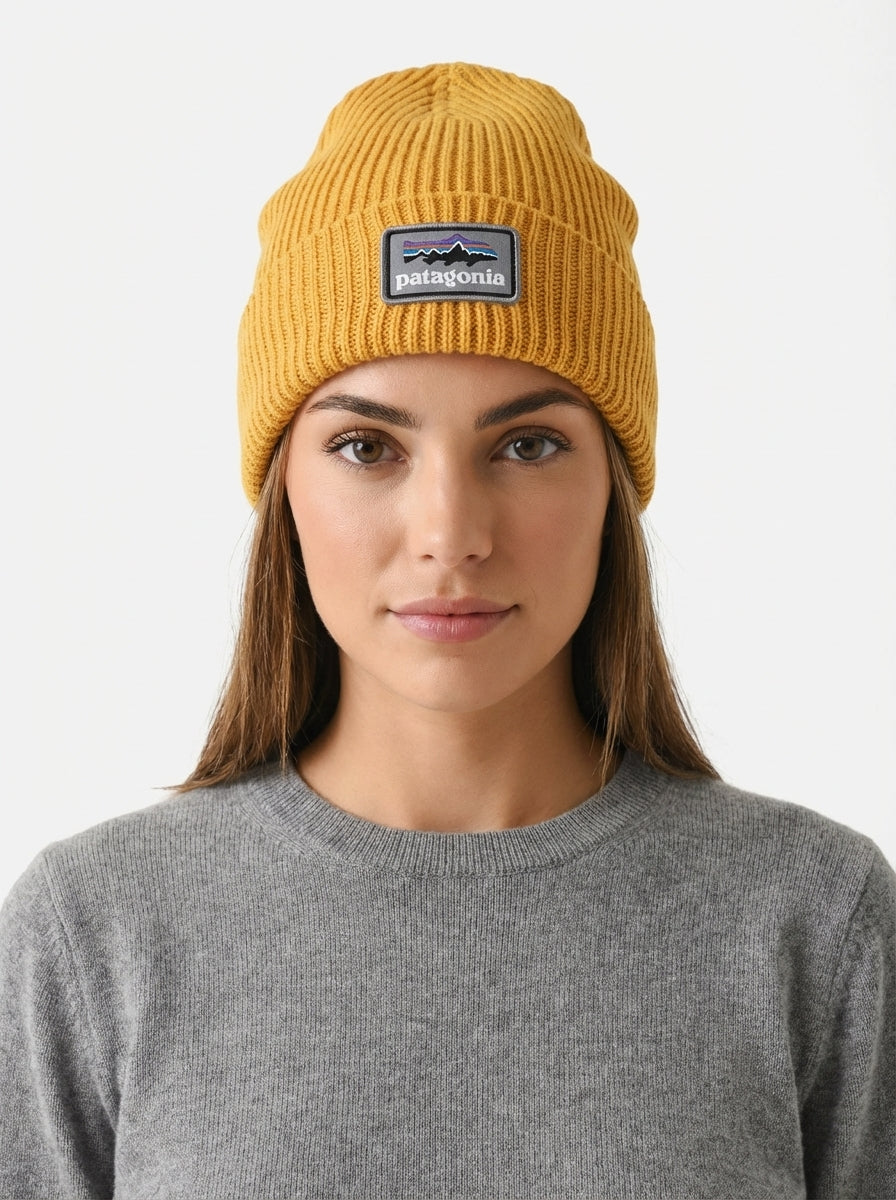 Patagonia Fishermen's Rolled Beanie Fitz Roy Trout