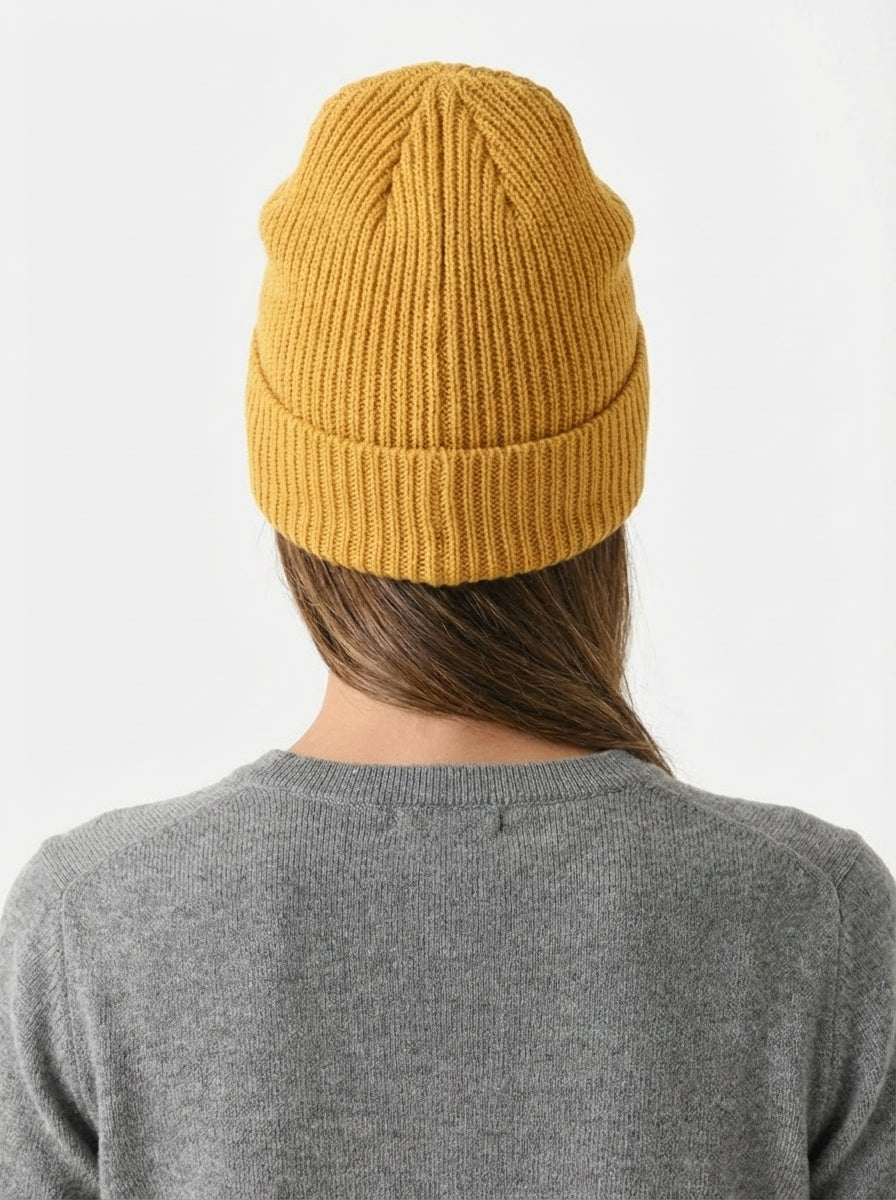 Patagonia Fishermen's Rolled Beanie Fitz Roy Trout