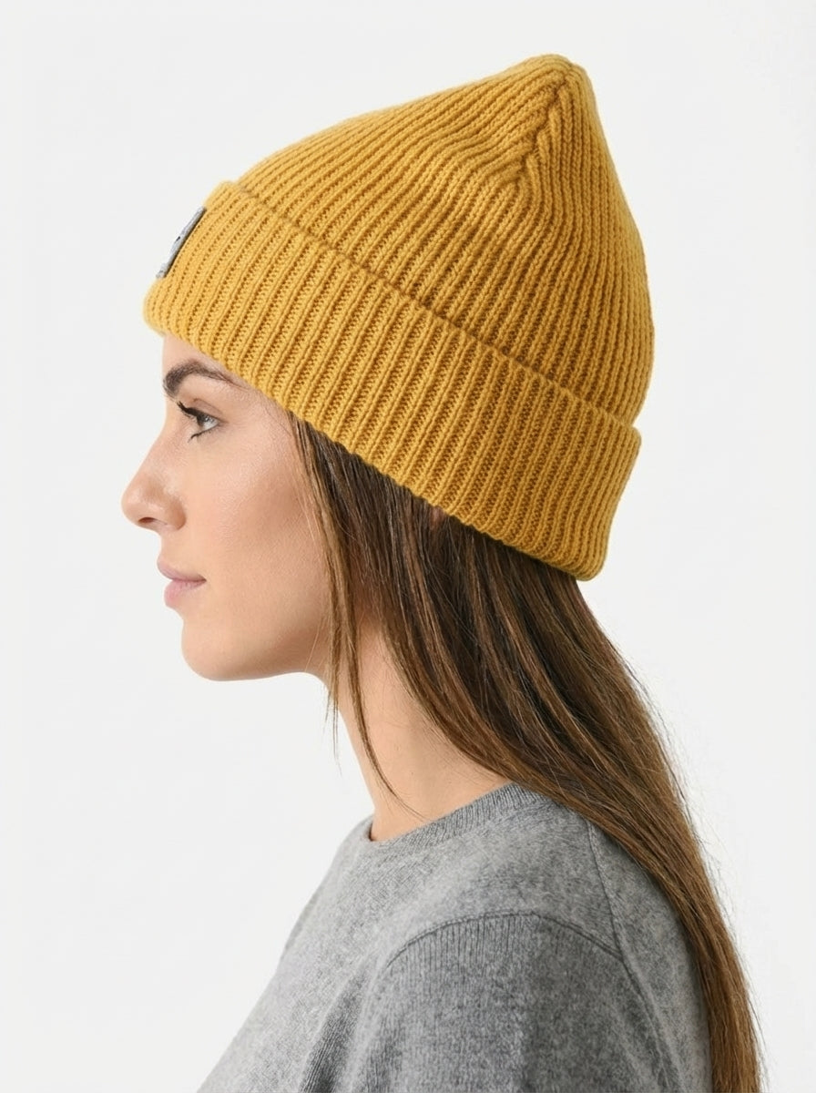 Patagonia Fishermen's Rolled Beanie Fitz Roy Trout