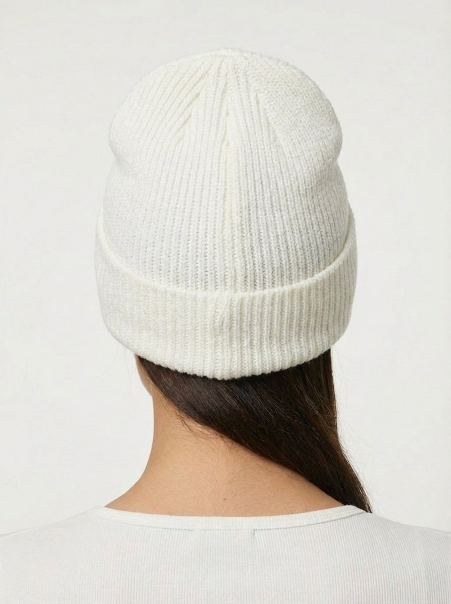 Patagonia Fishermen's Rolled Beanie Fitz Roy Trout