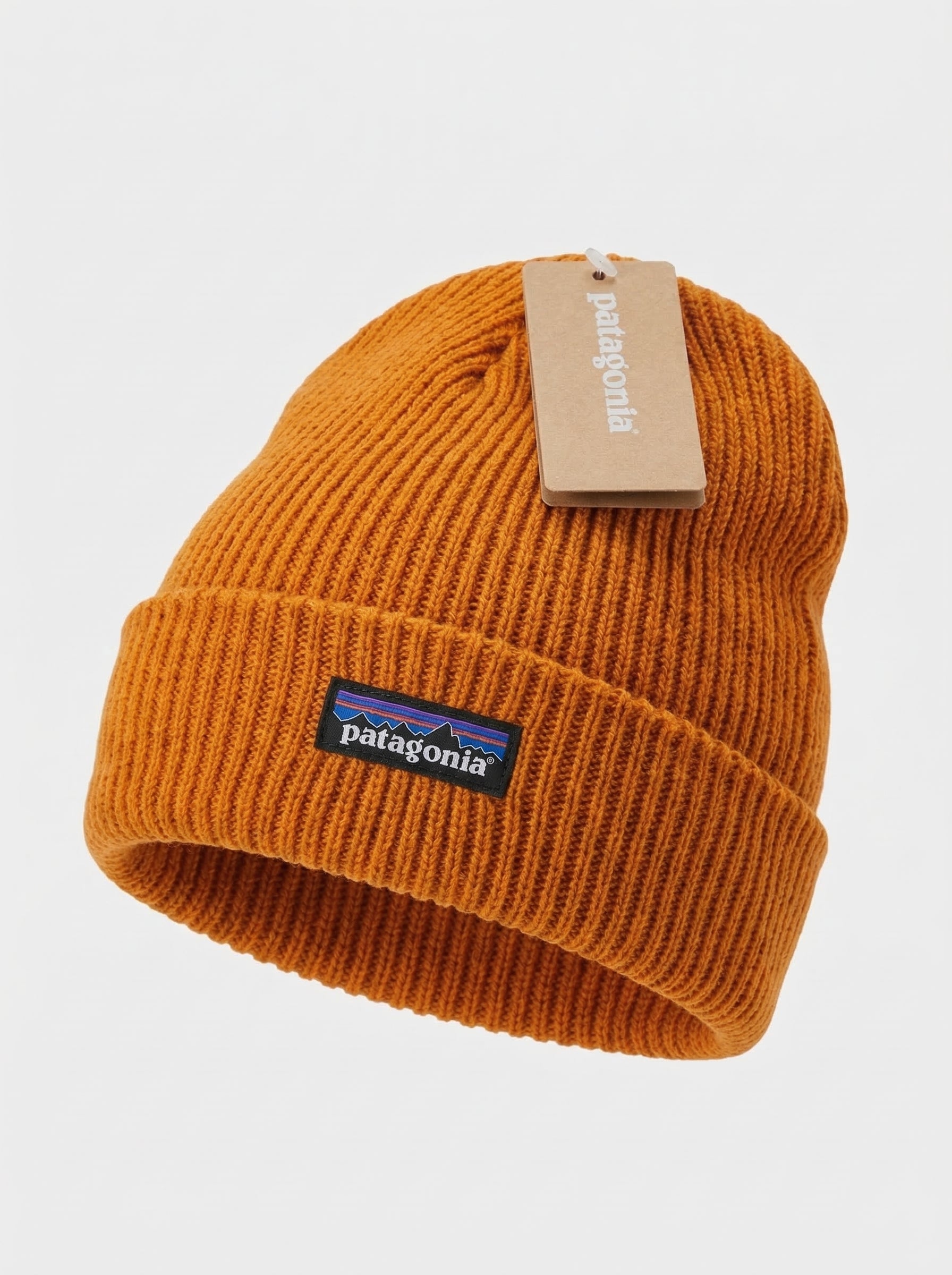 Patagonia P-6 Logo Fisherman’s Rolled Beanie