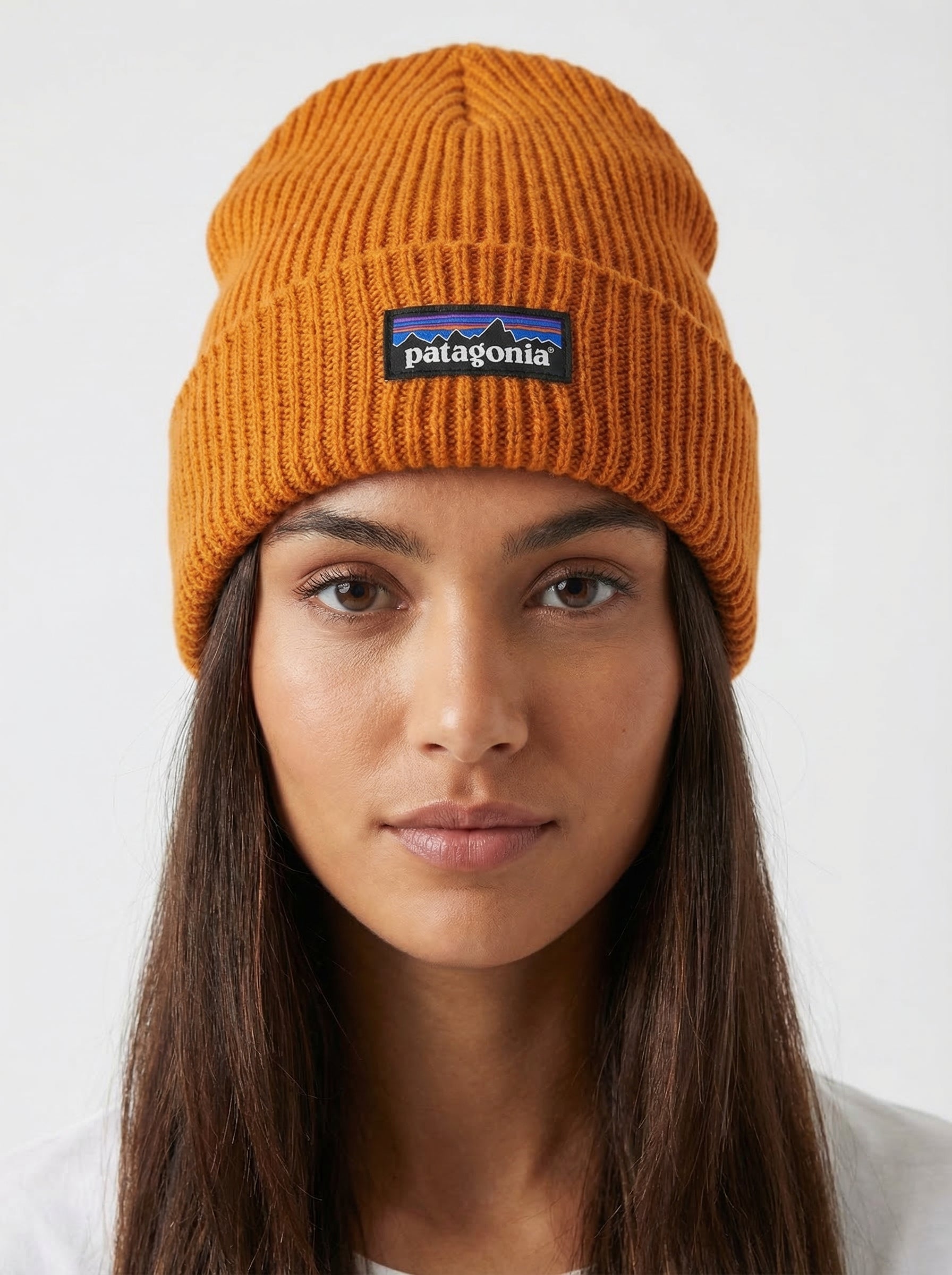 Patagonia P-6 Logo Fisherman’s Rolled Beanie