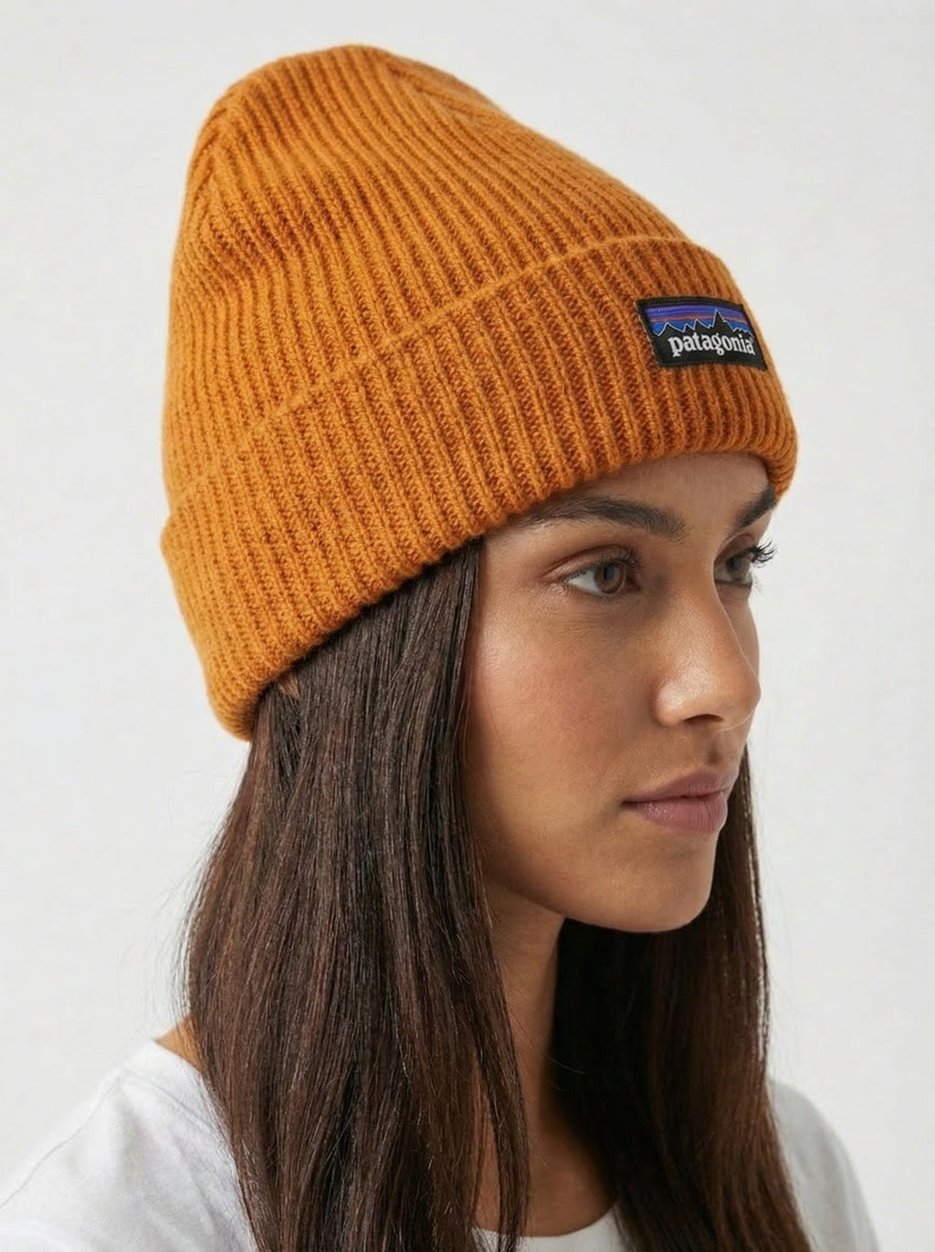 Patagonia P-6 Logo Fisherman’s Rolled Beanie