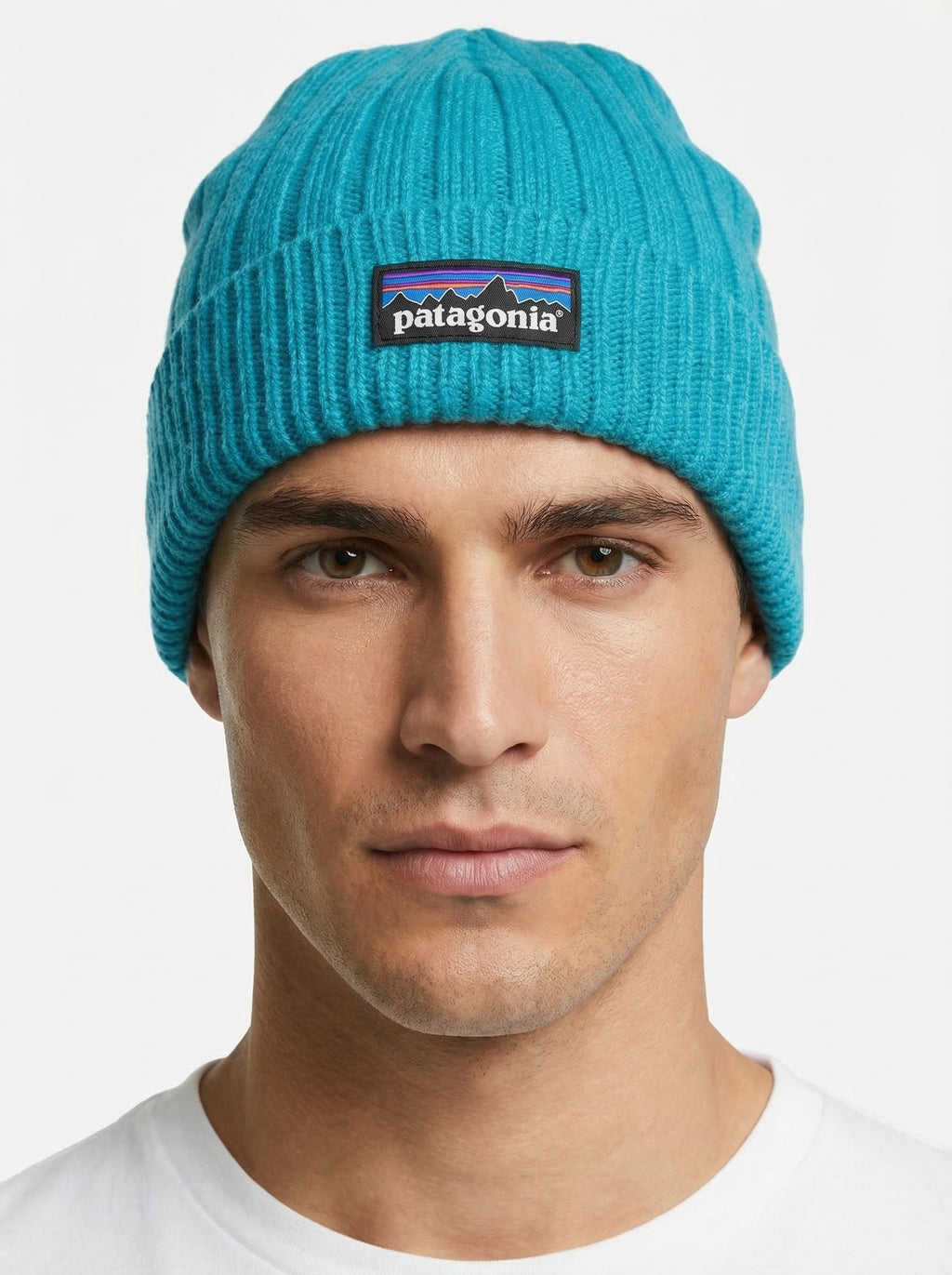 Patagonia P-6 Logo Chunky Knit Beanie