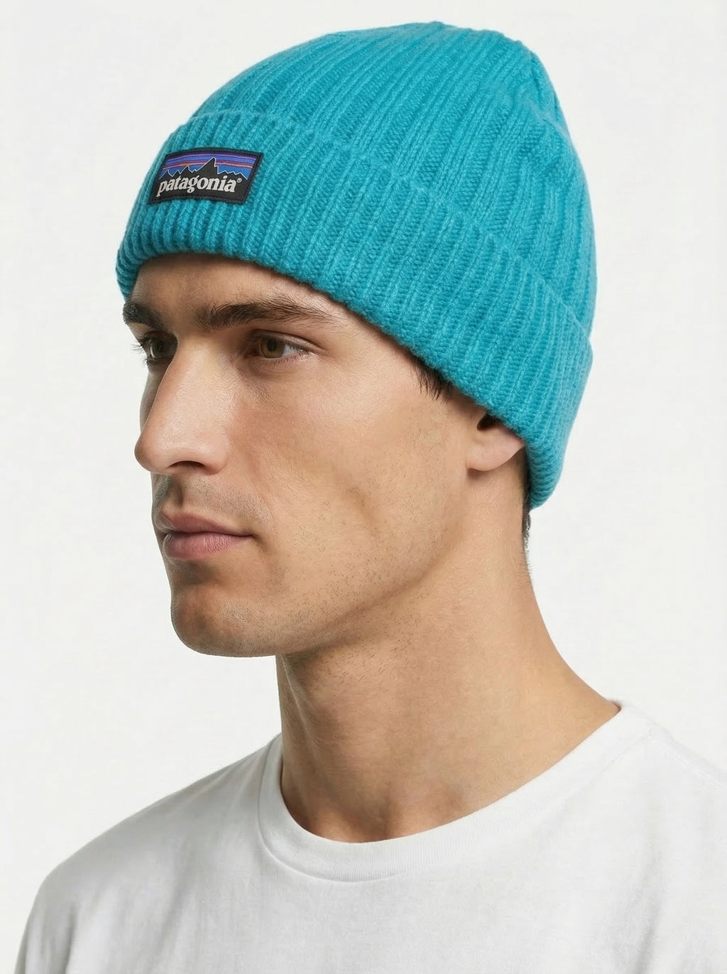 Patagonia P-6 Logo Chunky Knit Beanie