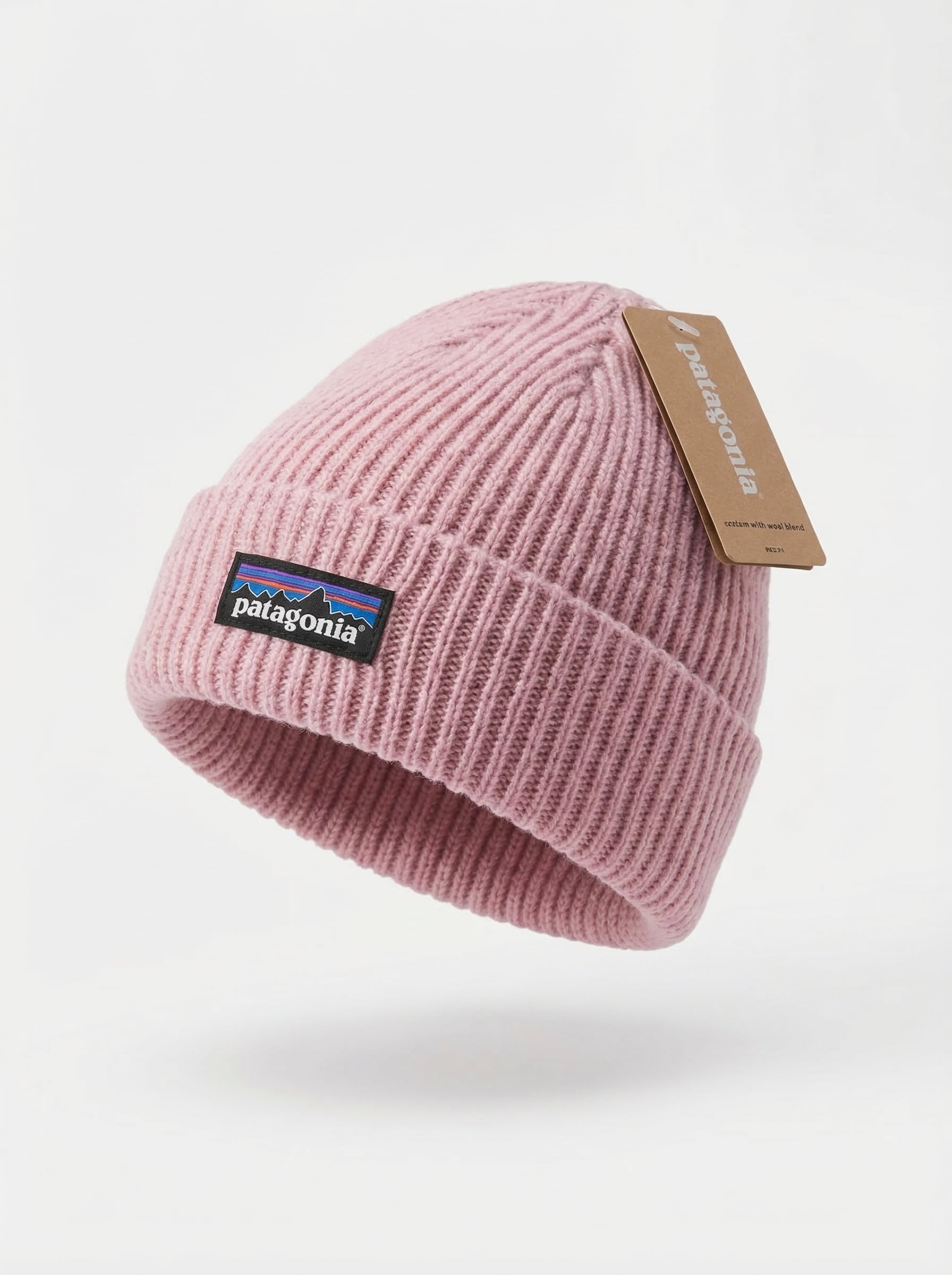 Patagonia P-6 Logo Fisherman’s Rolled Beanie