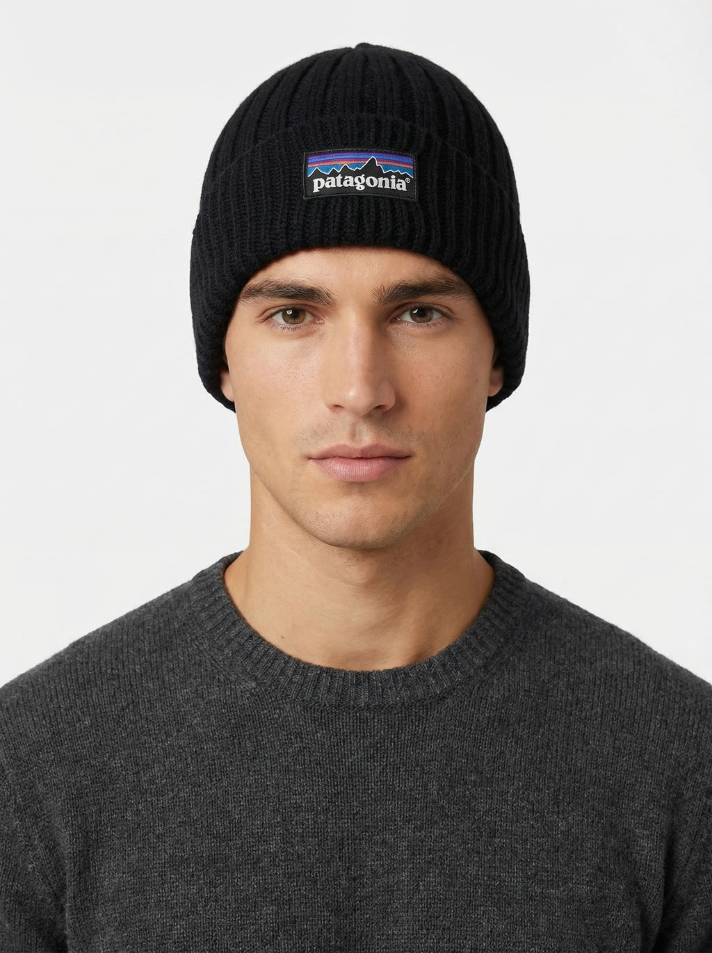 Patagonia P-6 Logo Chunky Knit Beanie