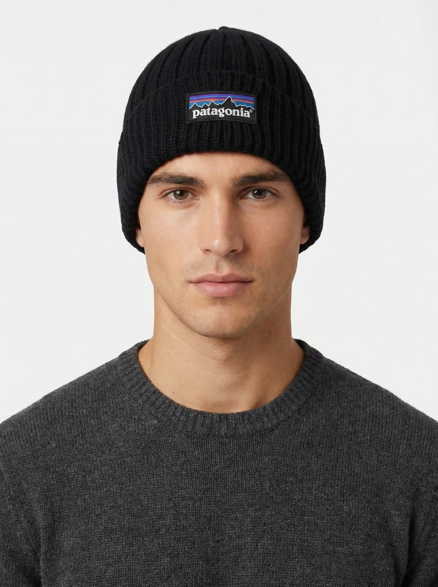 Patagonia P-6 Logo Chunky Knit Beanie