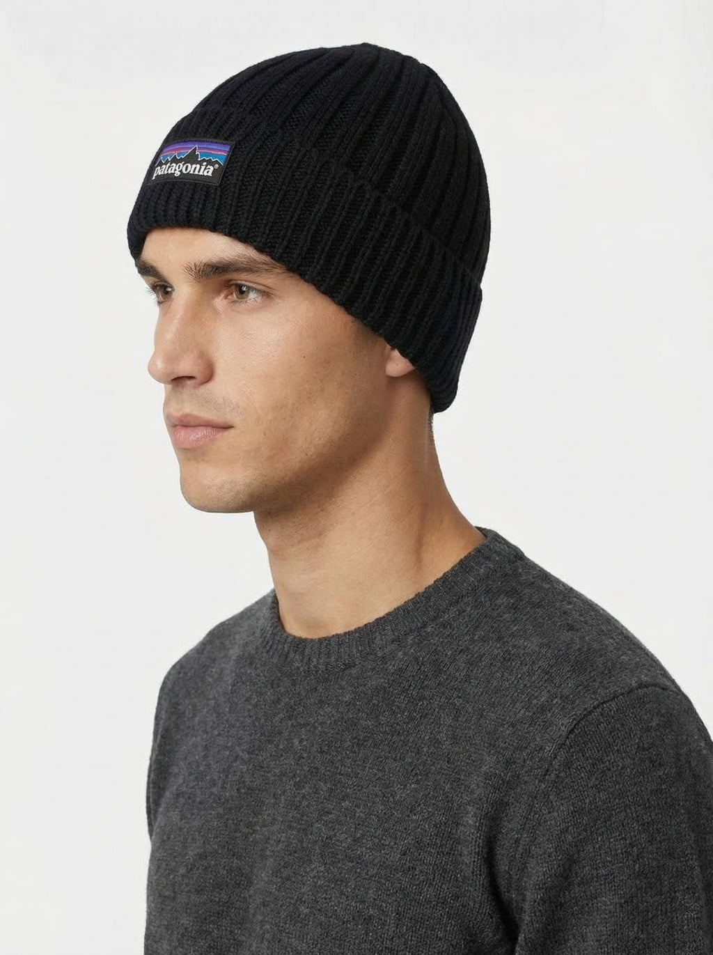 Patagonia P-6 Logo Chunky Knit Beanie