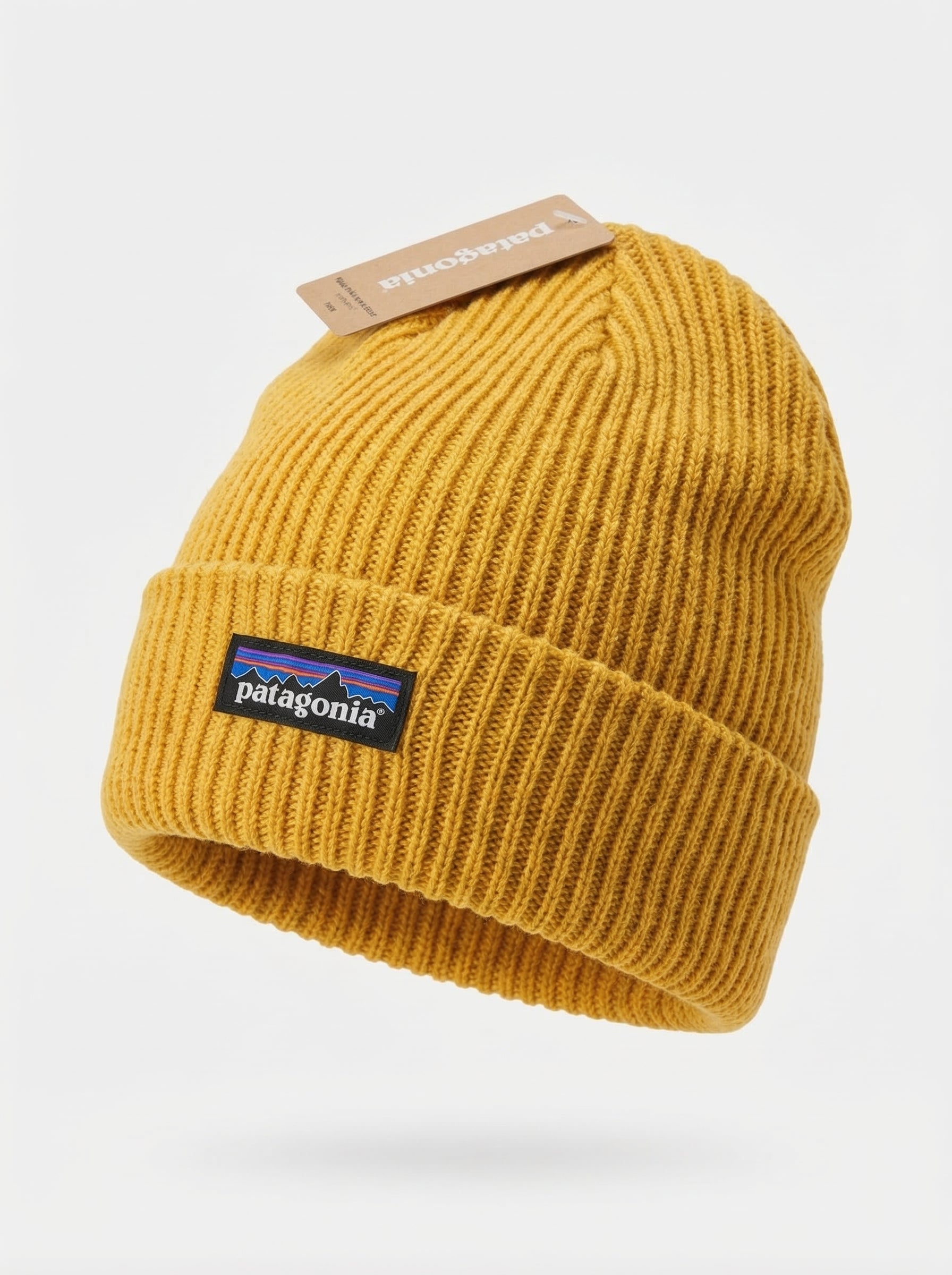 Patagonia P-6 Logo Fisherman’s Rolled Beanie