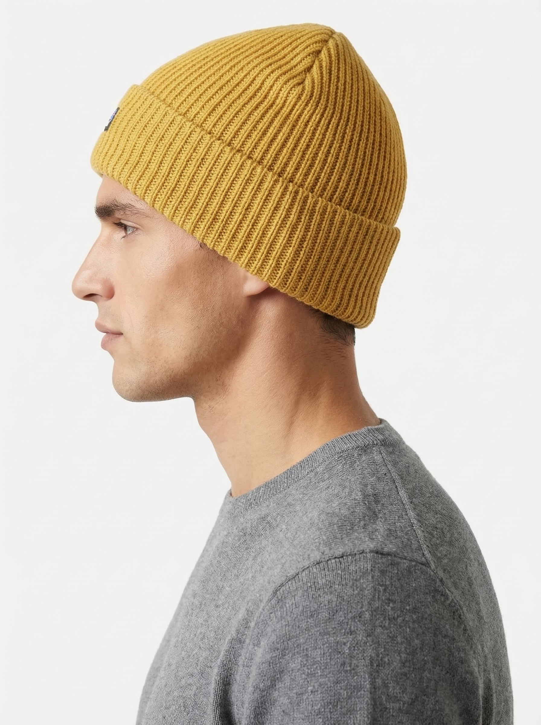 Patagonia P-6 Logo Fisherman’s Rolled Beanie